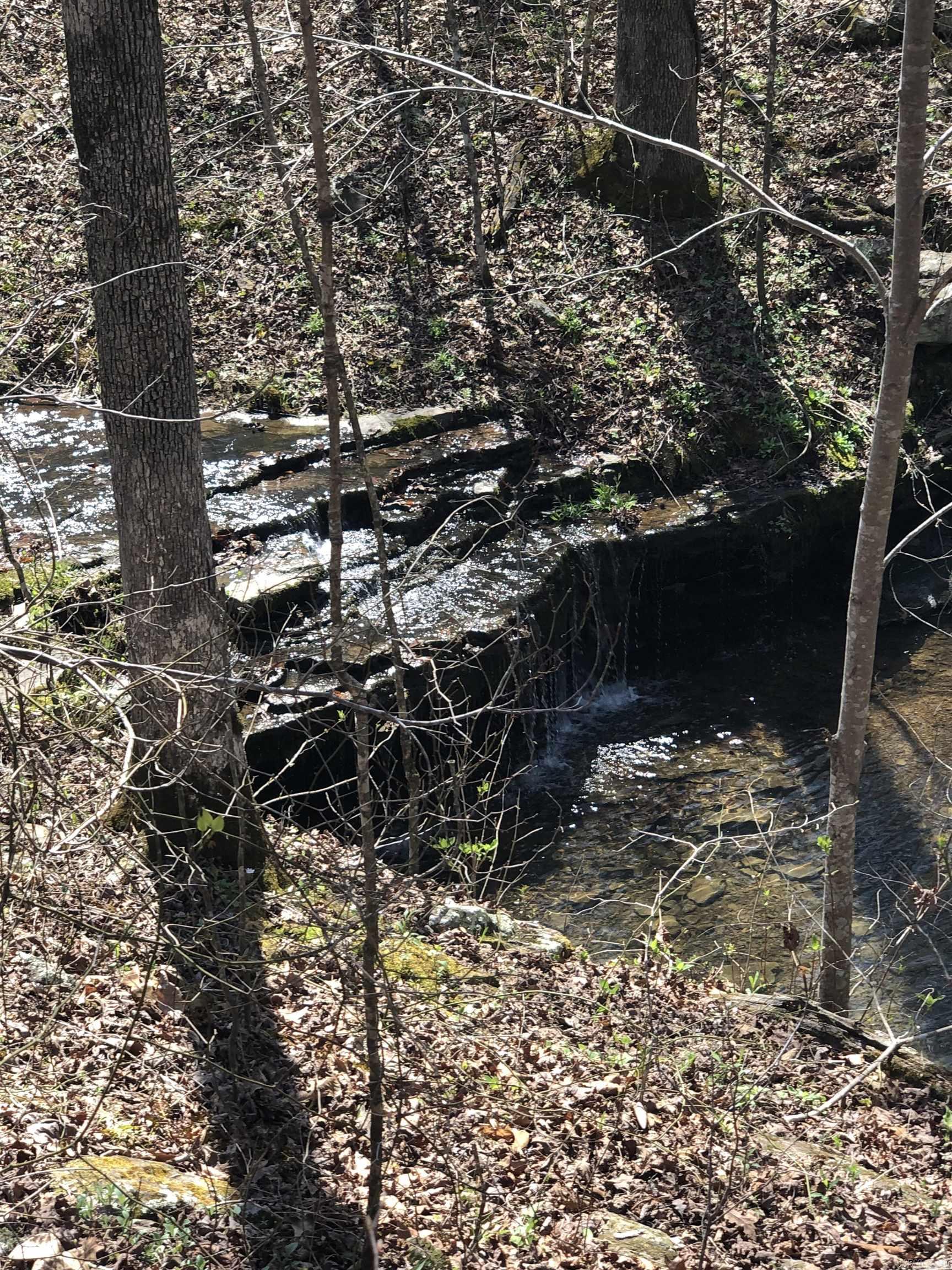 0000  Lute Mountain Road  Shirley, AR