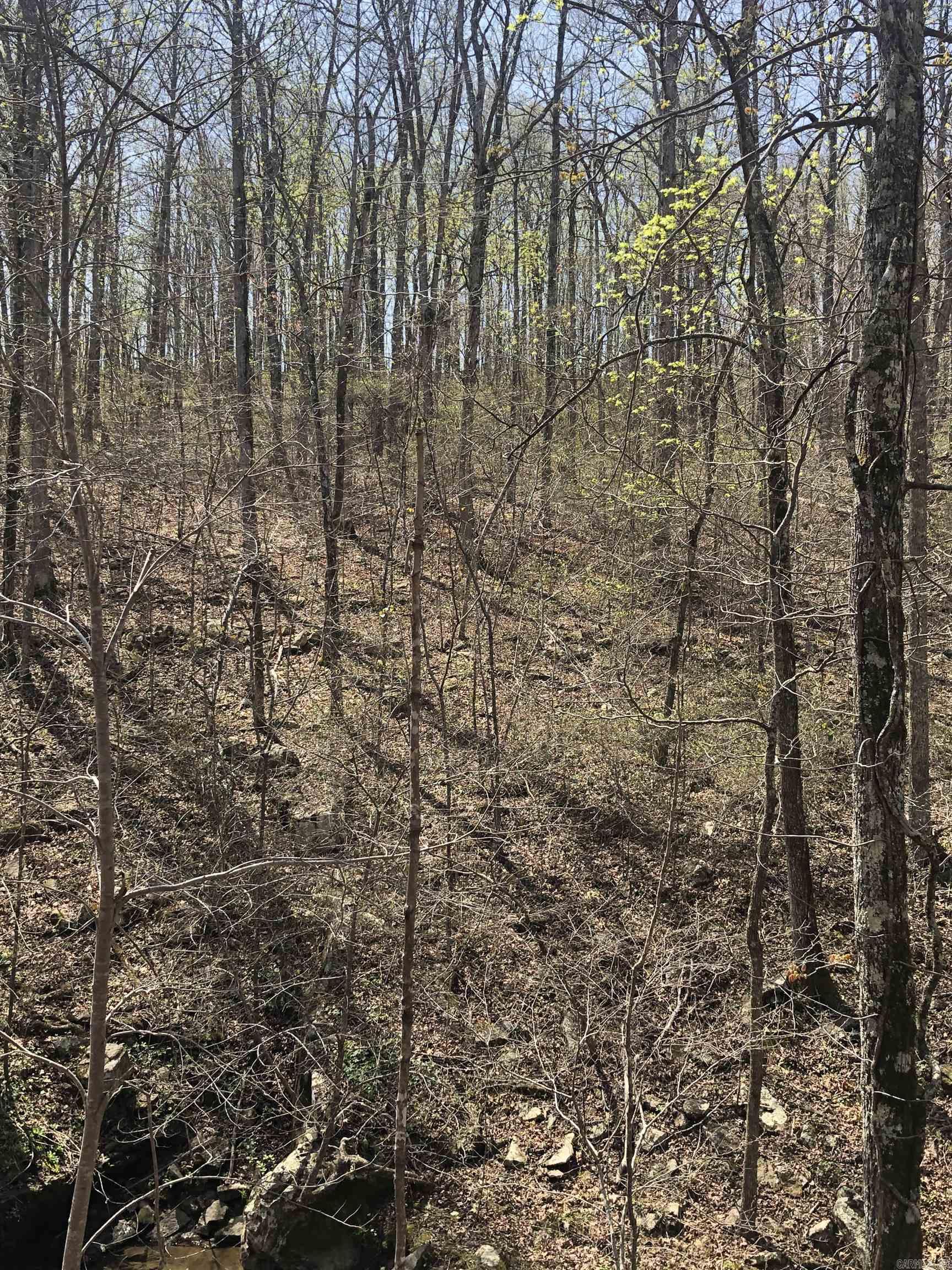 0000  Lute Mountain Road  Shirley, AR