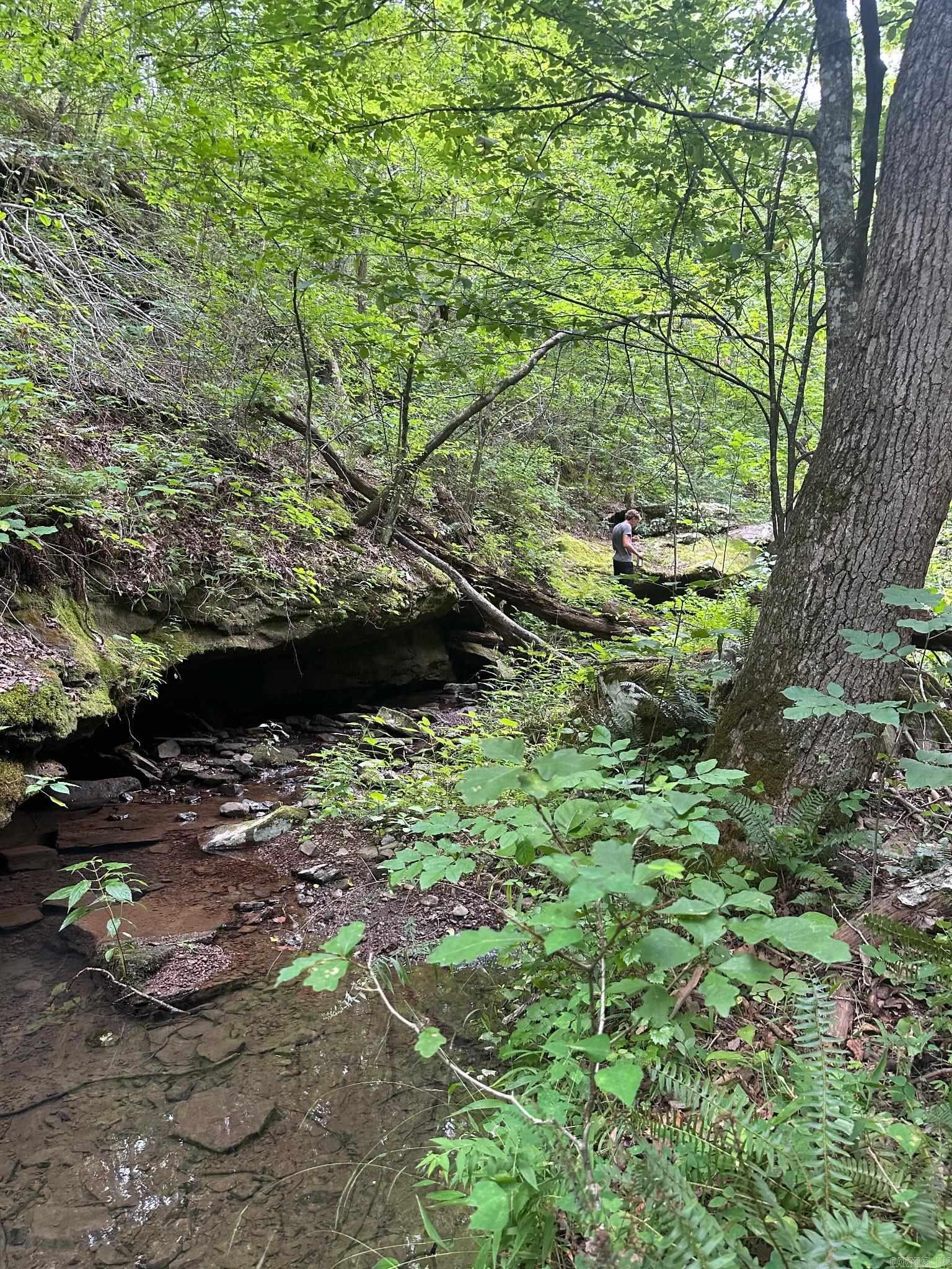 0000  Lute Mountain Road  Shirley, AR