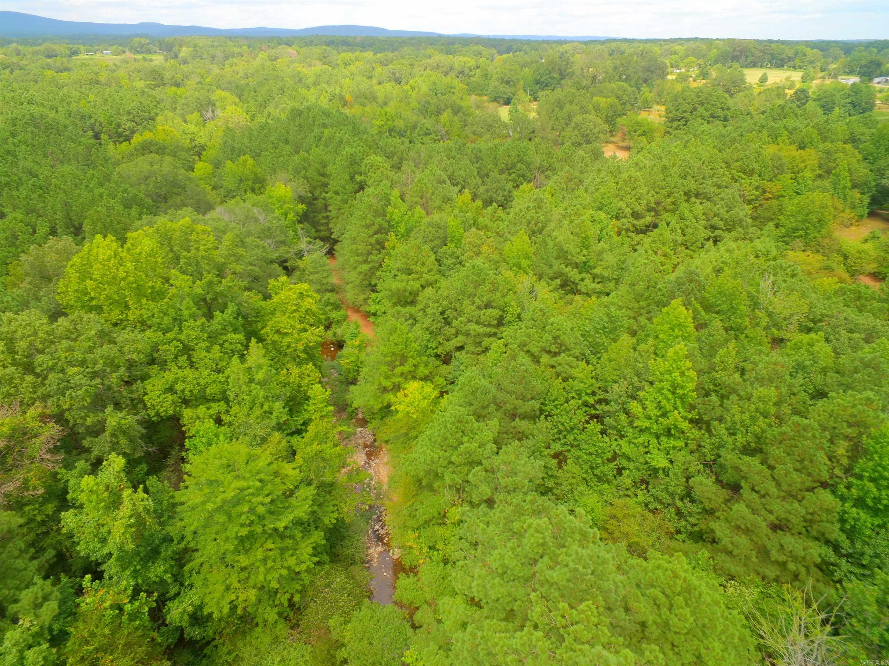 593  FENDLEY  Bismarck, AR