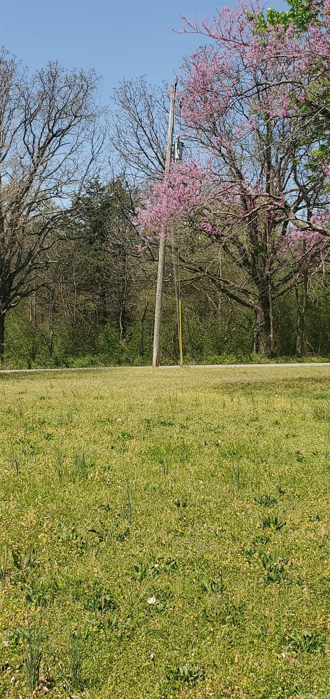 000  Maple  Mountain View, AR