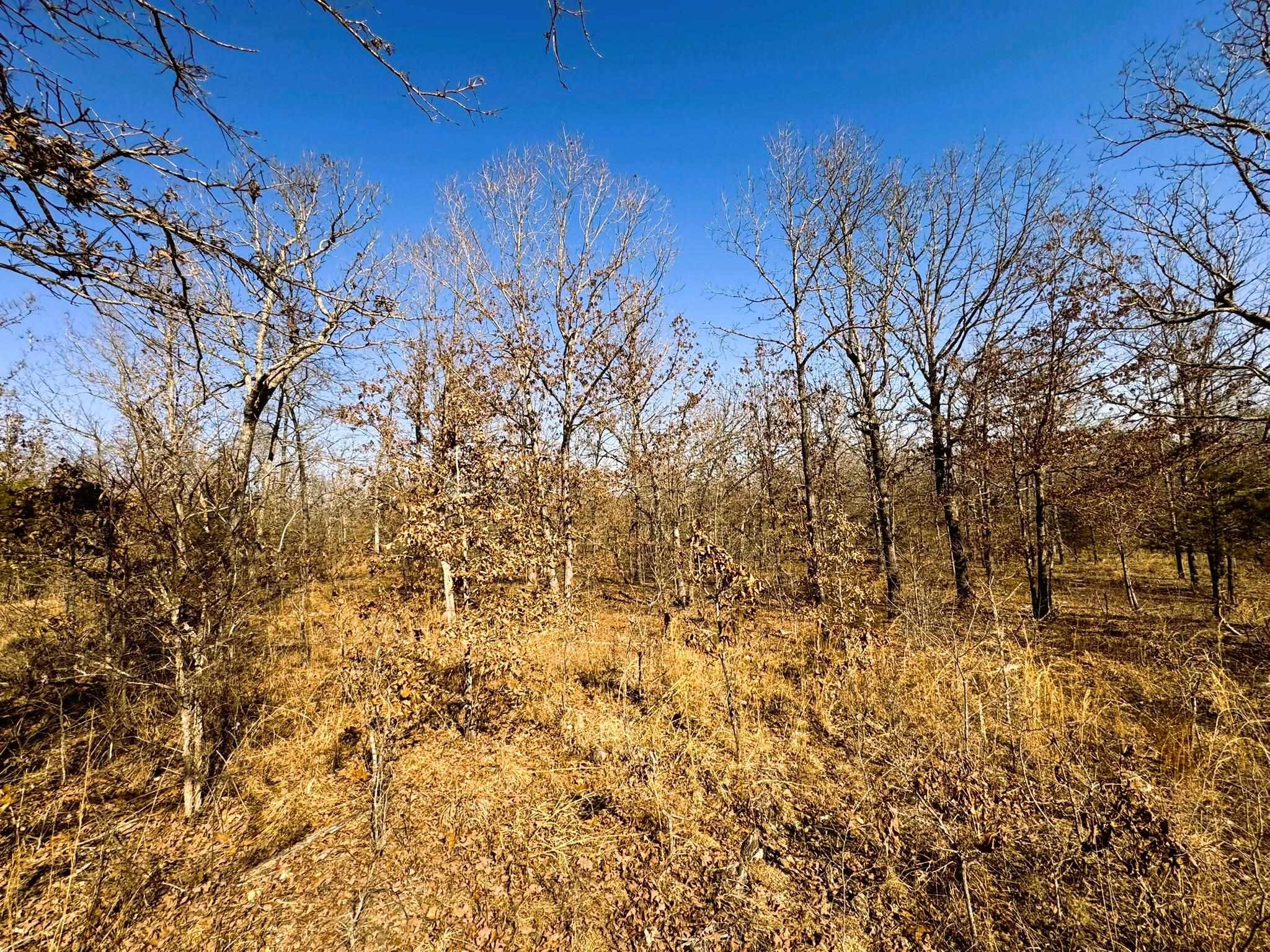 858 N Camp Creek  Camp, AR