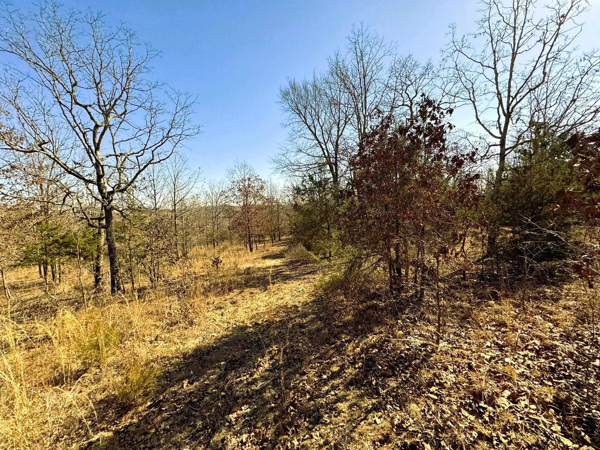 858 N Camp Creek  Camp, AR