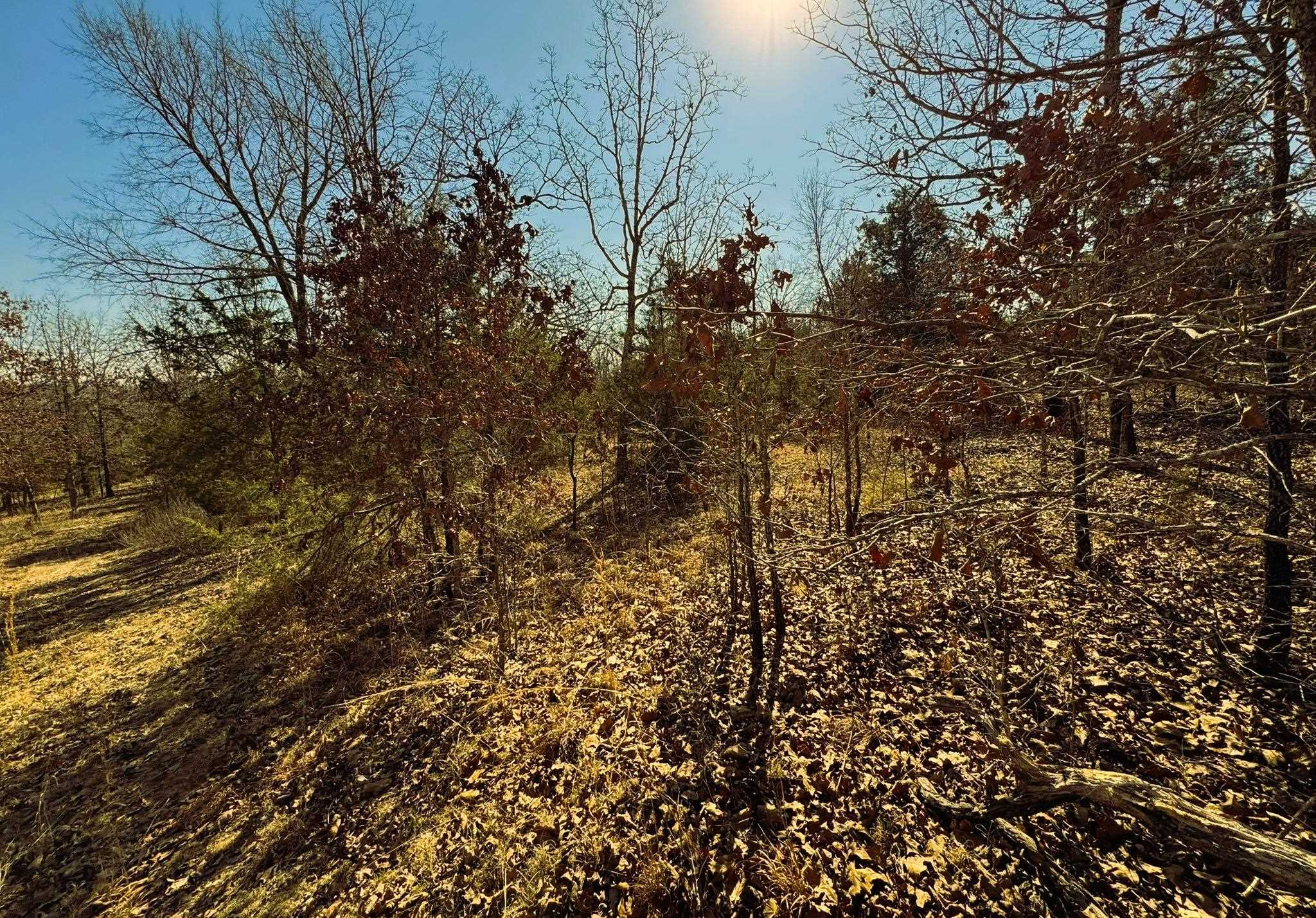 858 N Camp Creek  Camp, AR