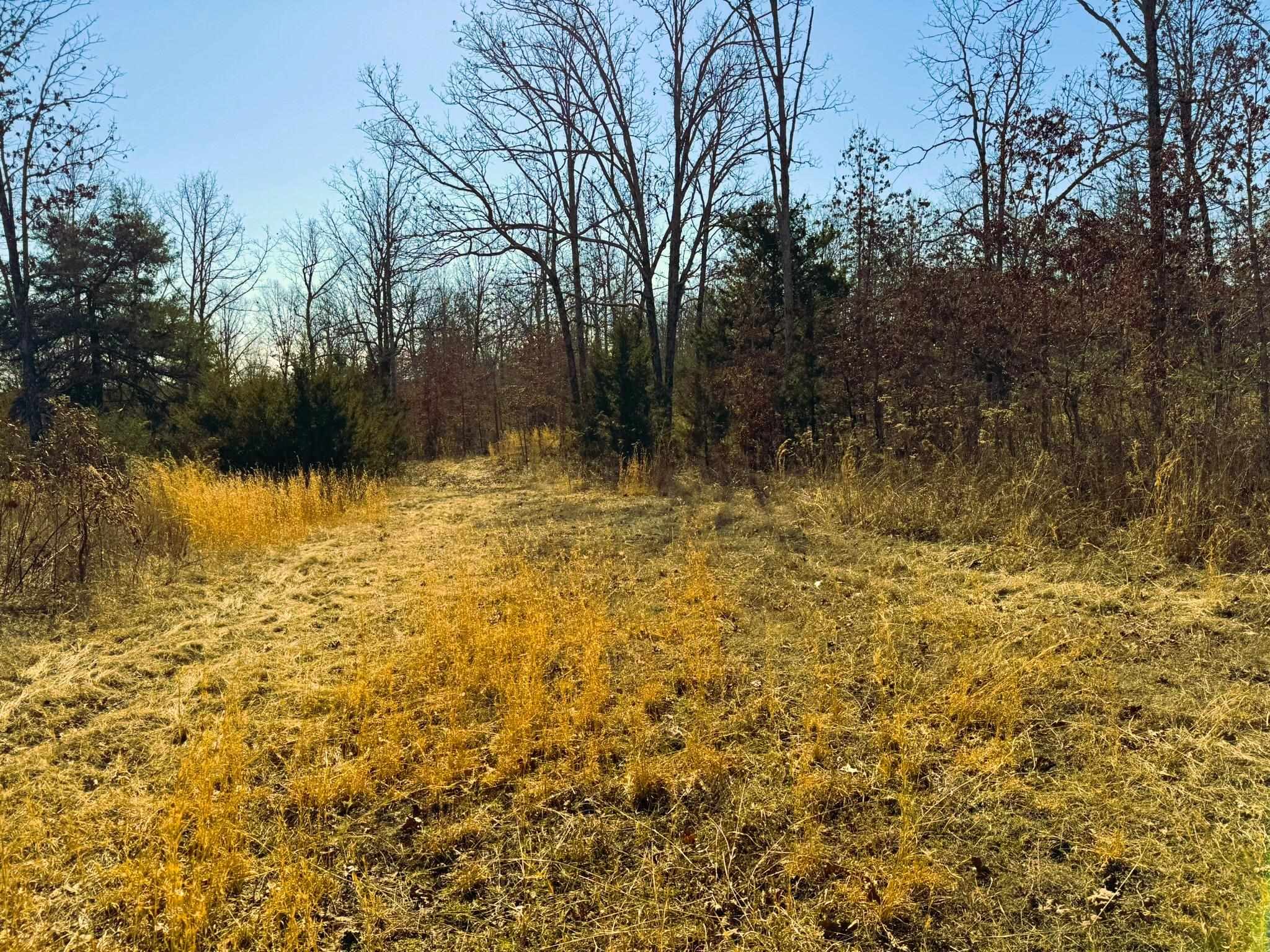 858 N Camp Creek  Camp, AR