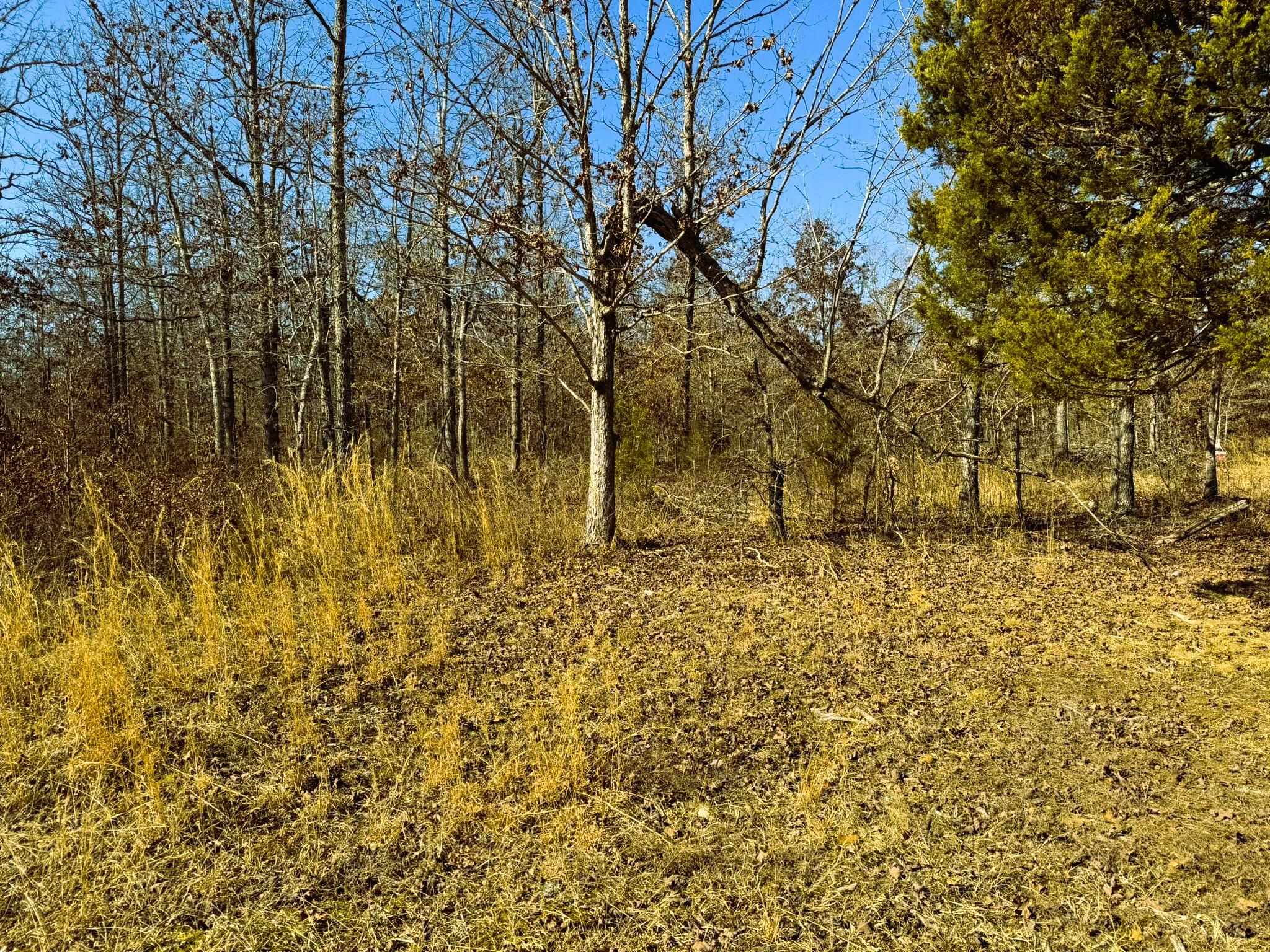 858 N Camp Creek  Camp, AR