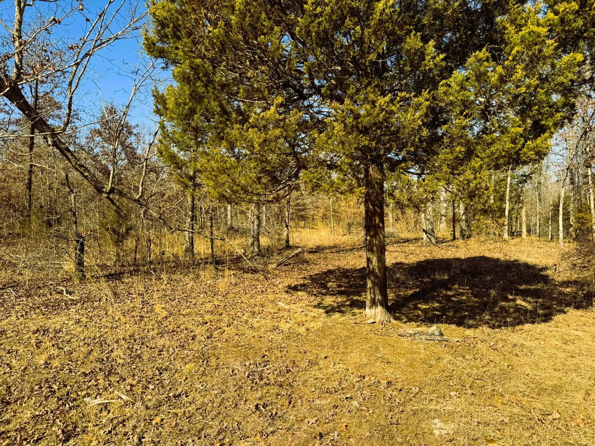 858 N Camp Creek  Camp, AR