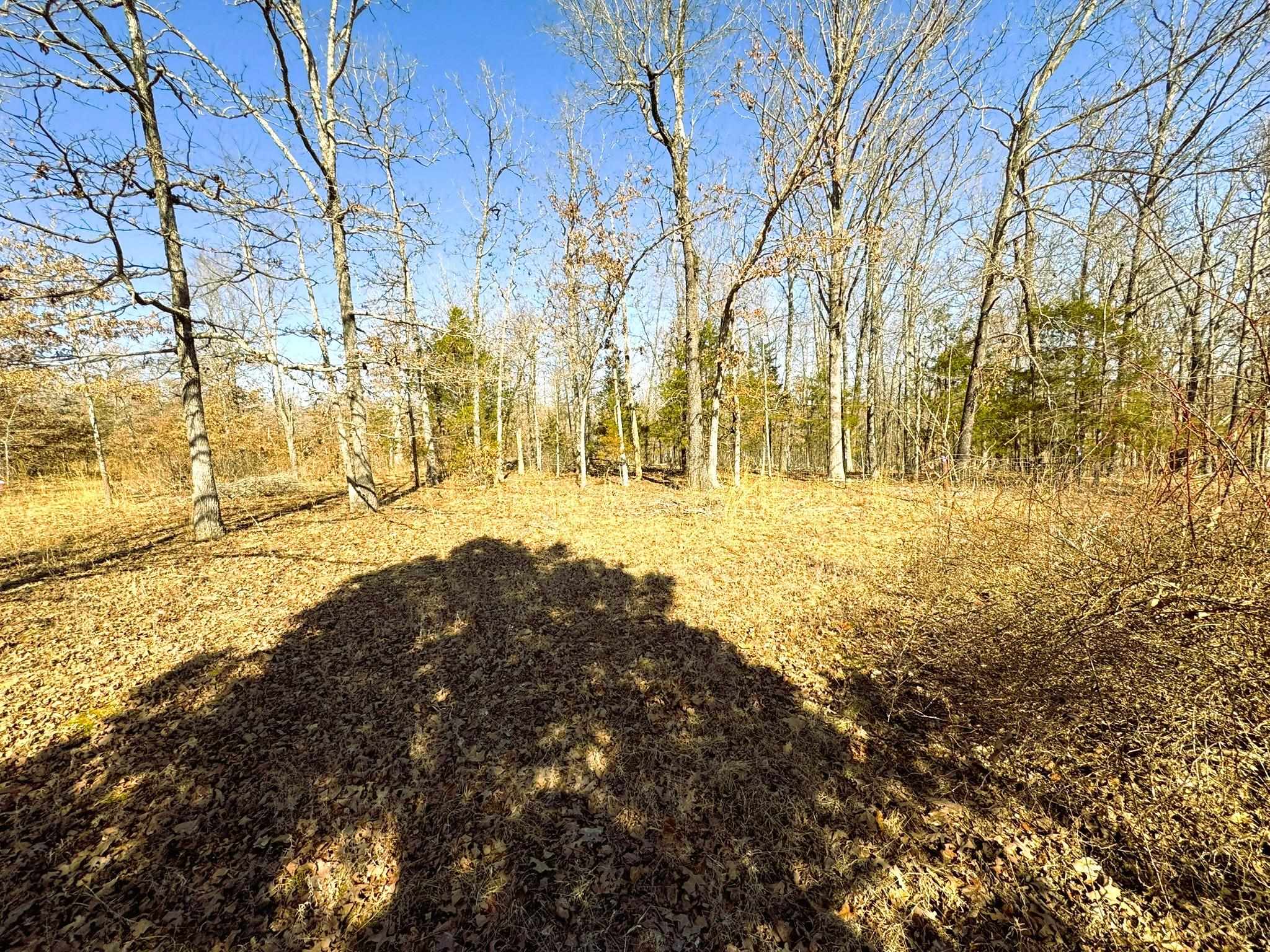 858 N Camp Creek  Camp, AR