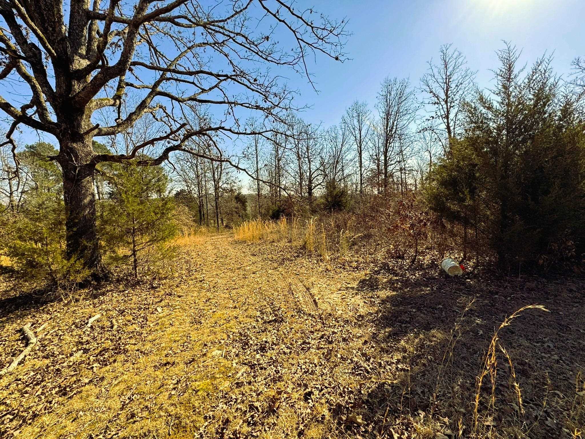 858 N Camp Creek  Camp, AR
