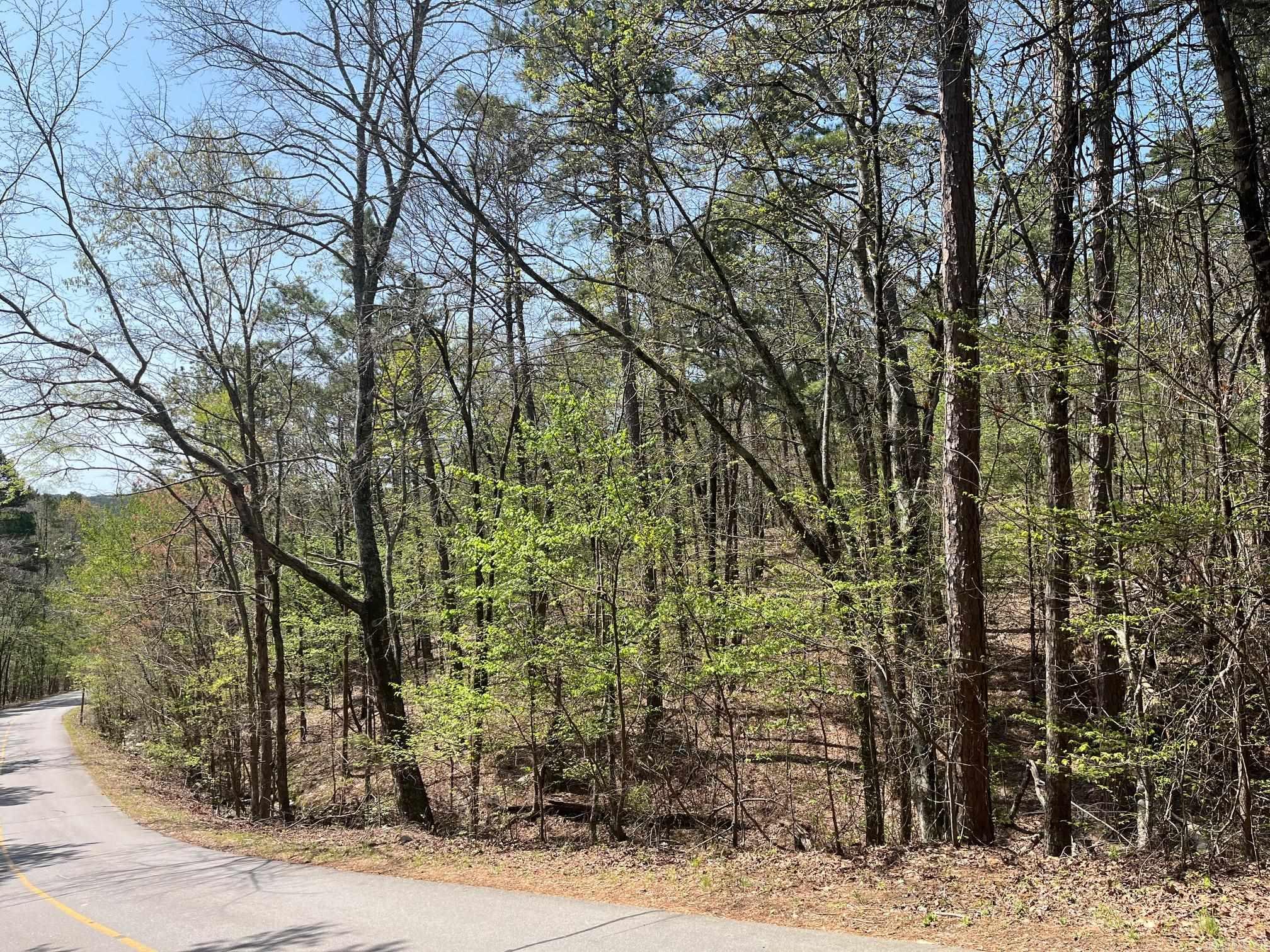 65  Reata  Hot Springs Village, AR