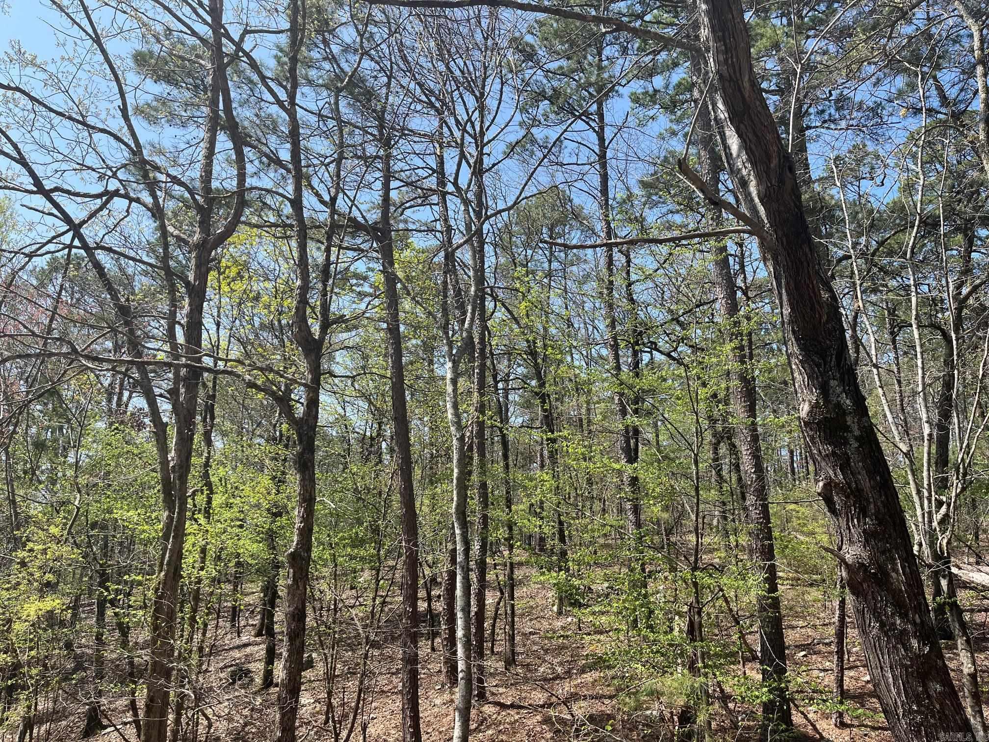 65  Reata  Hot Springs Village, AR