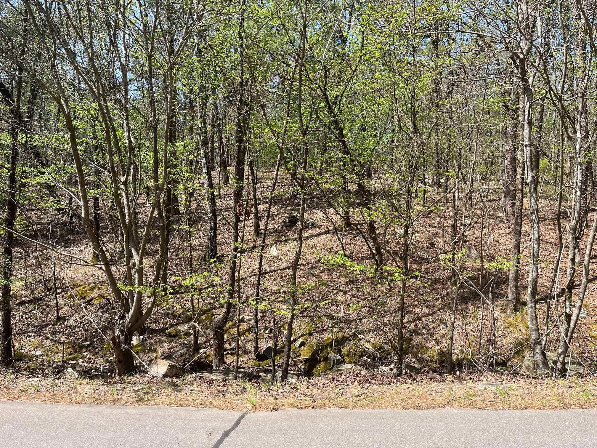 65  Reata  Hot Springs Village, AR