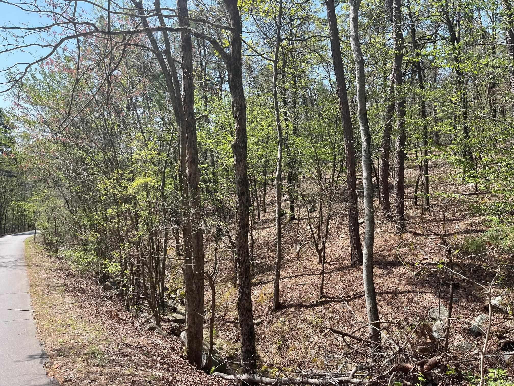 65  Reata  Hot Springs Village, AR