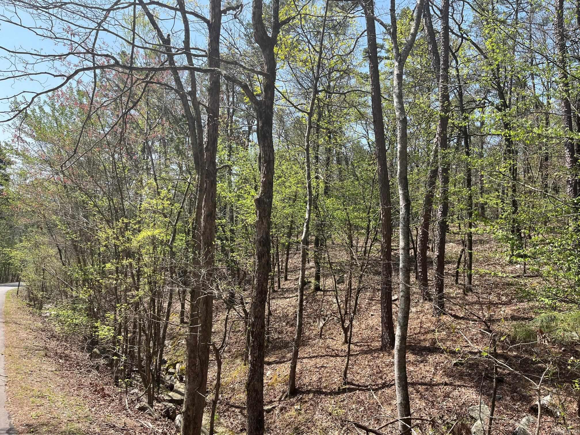 65  Reata  Hot Springs Village, AR