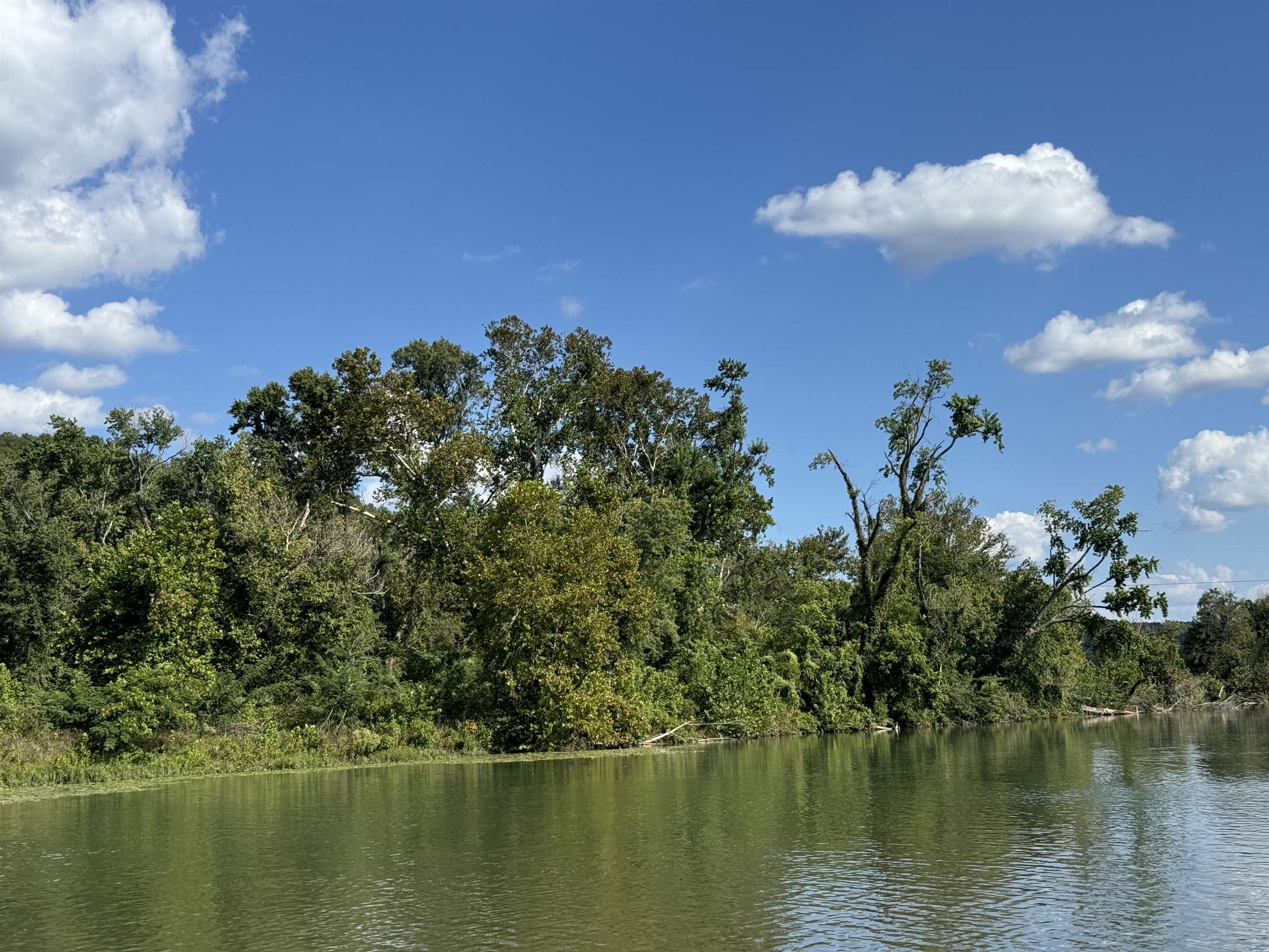 TBD  River  Williford, AR