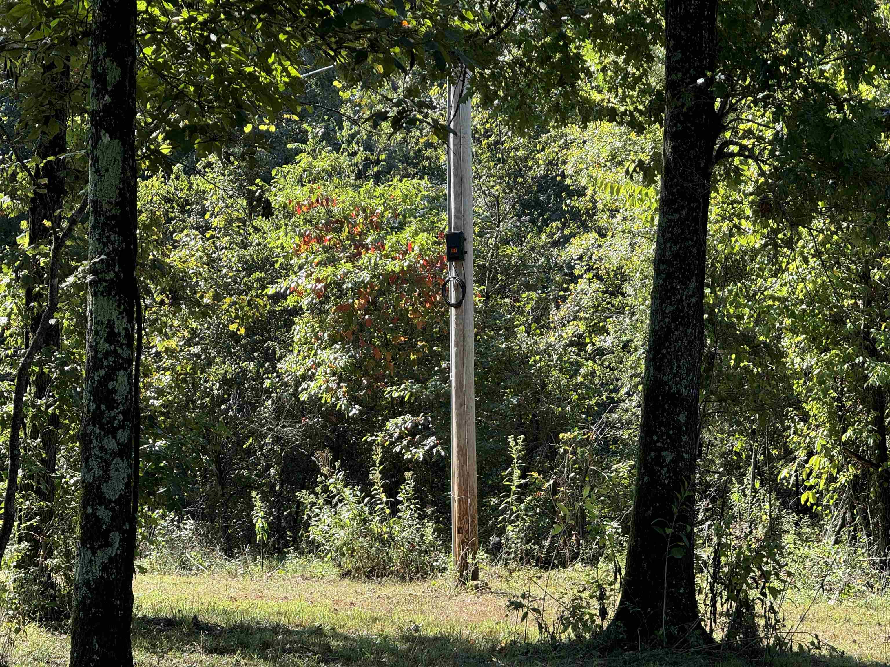 TBD  River  Williford, AR