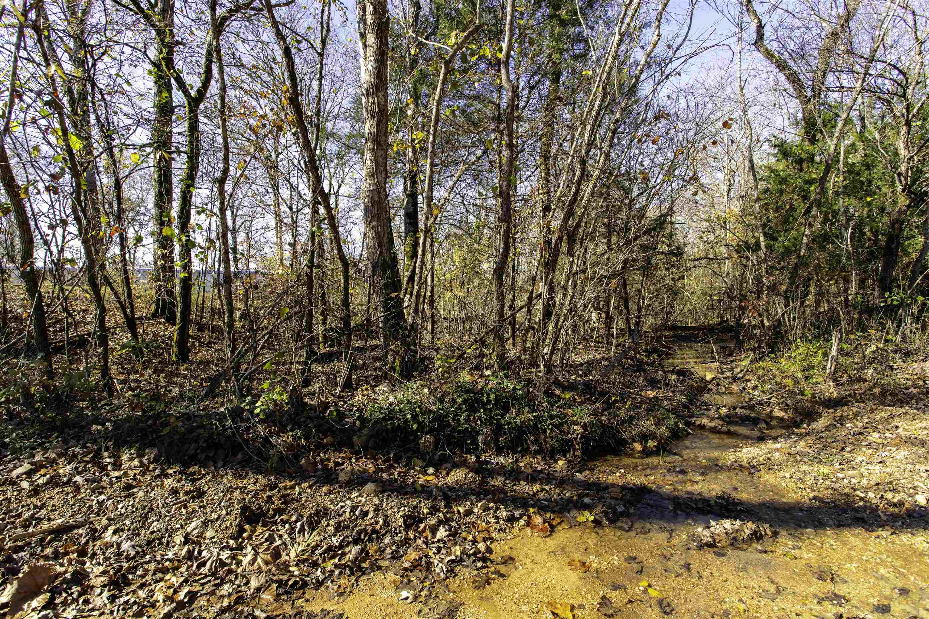 TBD  River  Williford, AR