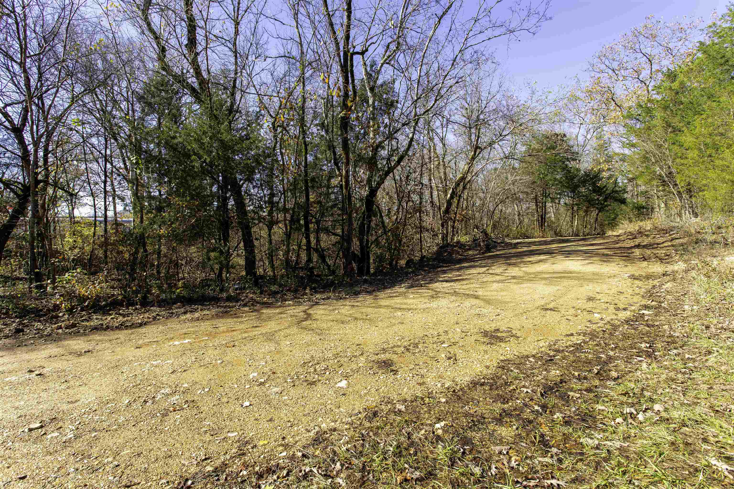 TBD  River  Williford, AR