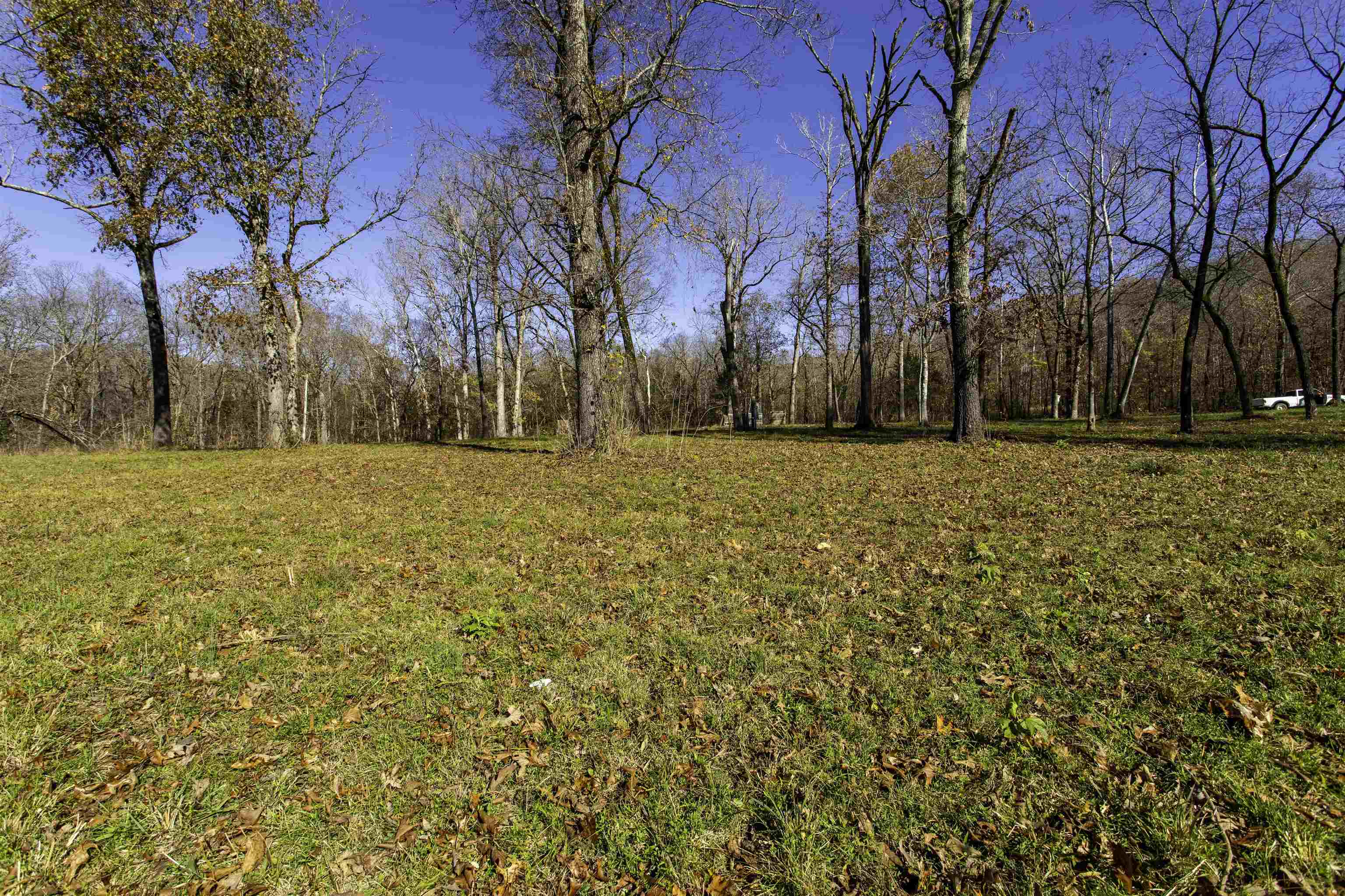 TBD  River  Williford, AR