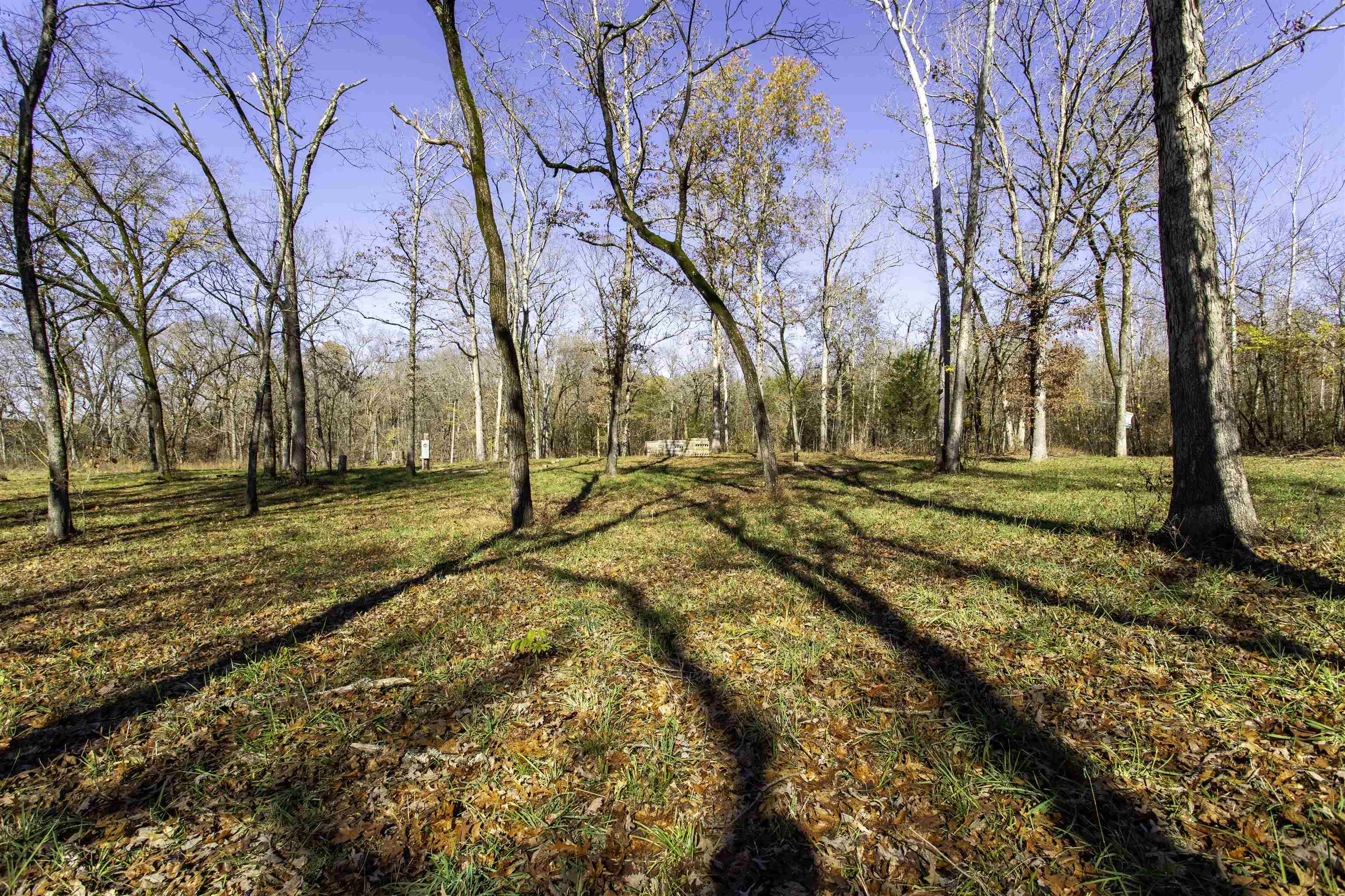 TBD  River  Williford, AR
