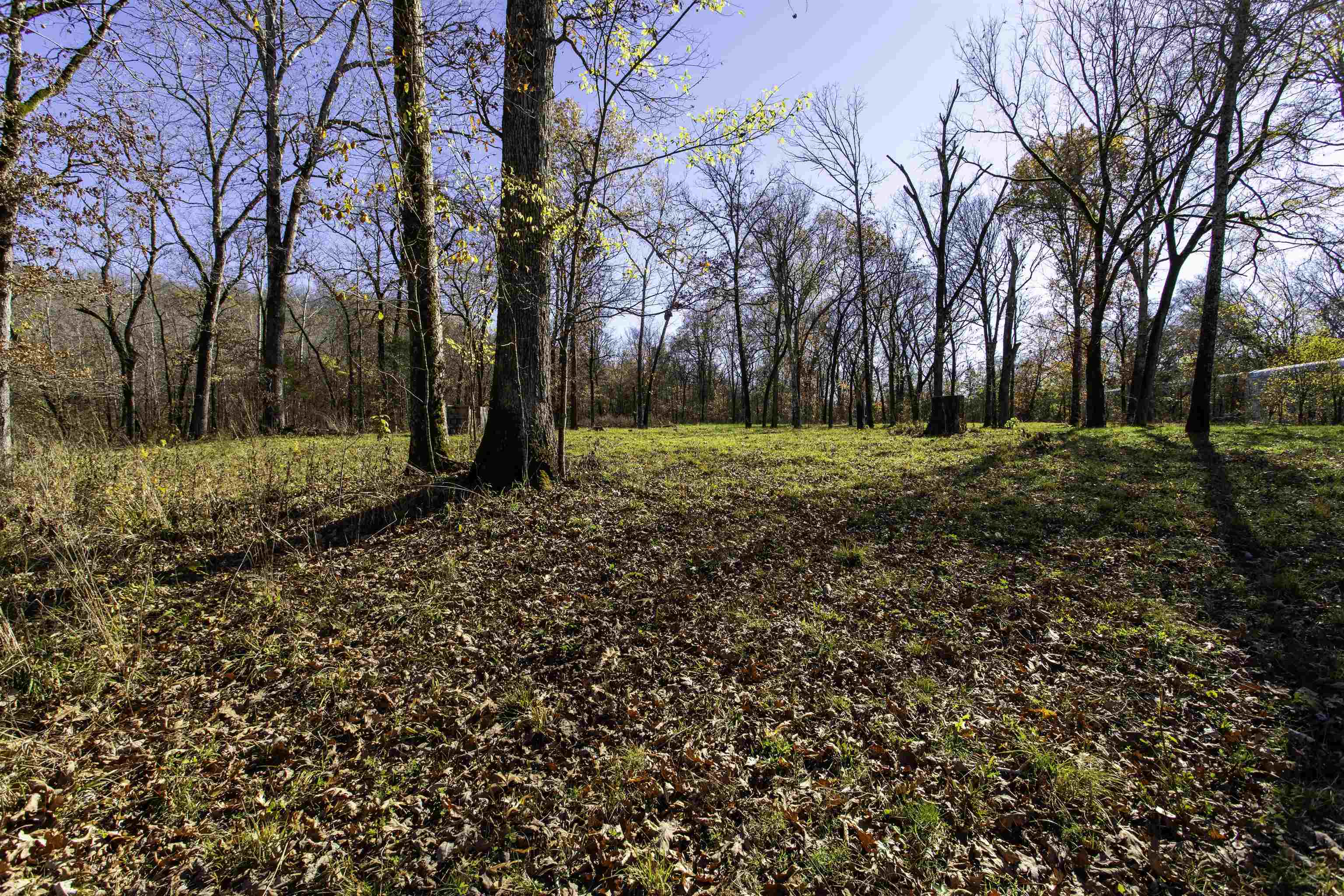 TBD  River  Williford, AR
