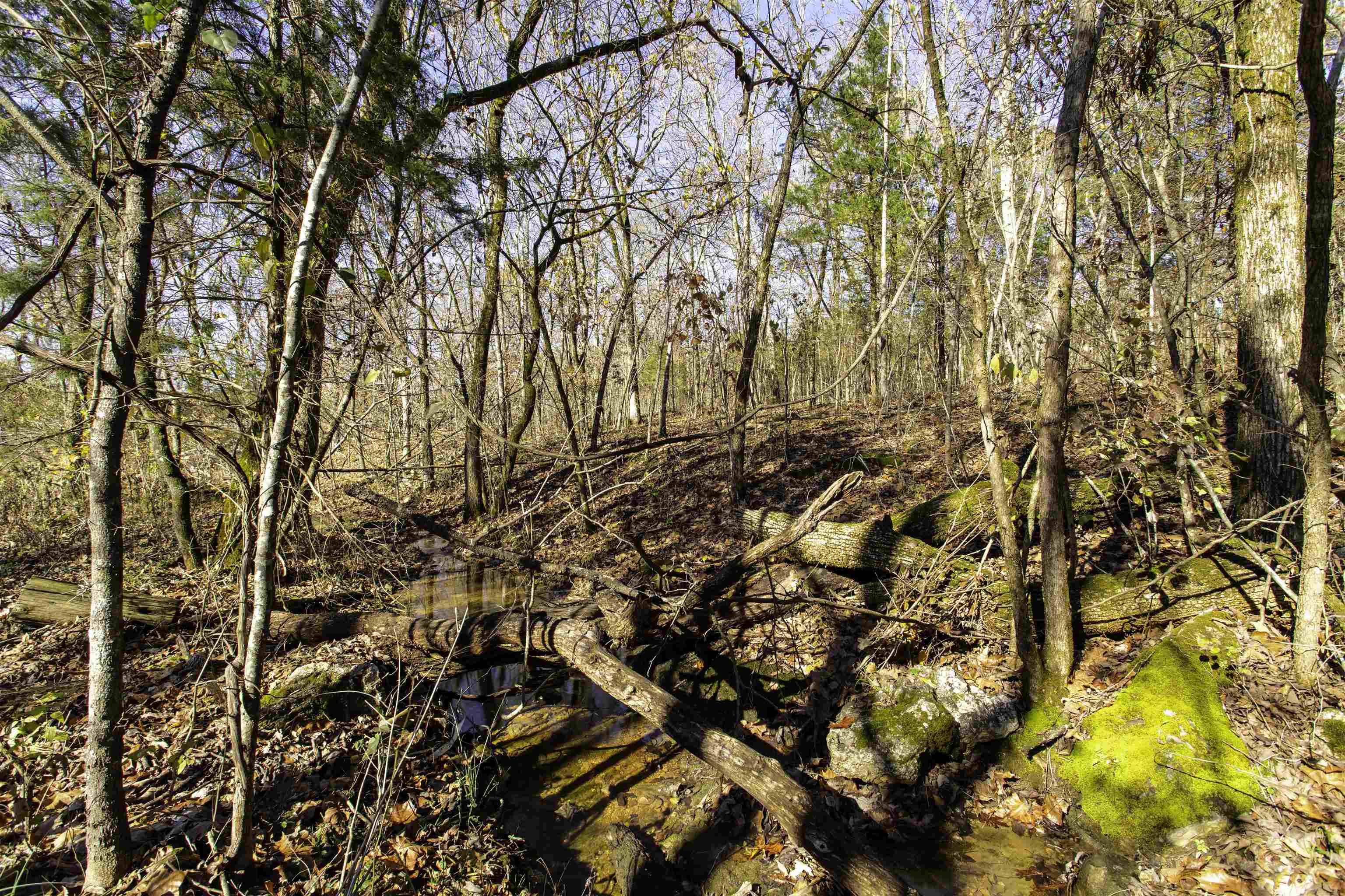 TBD  River  Williford, AR