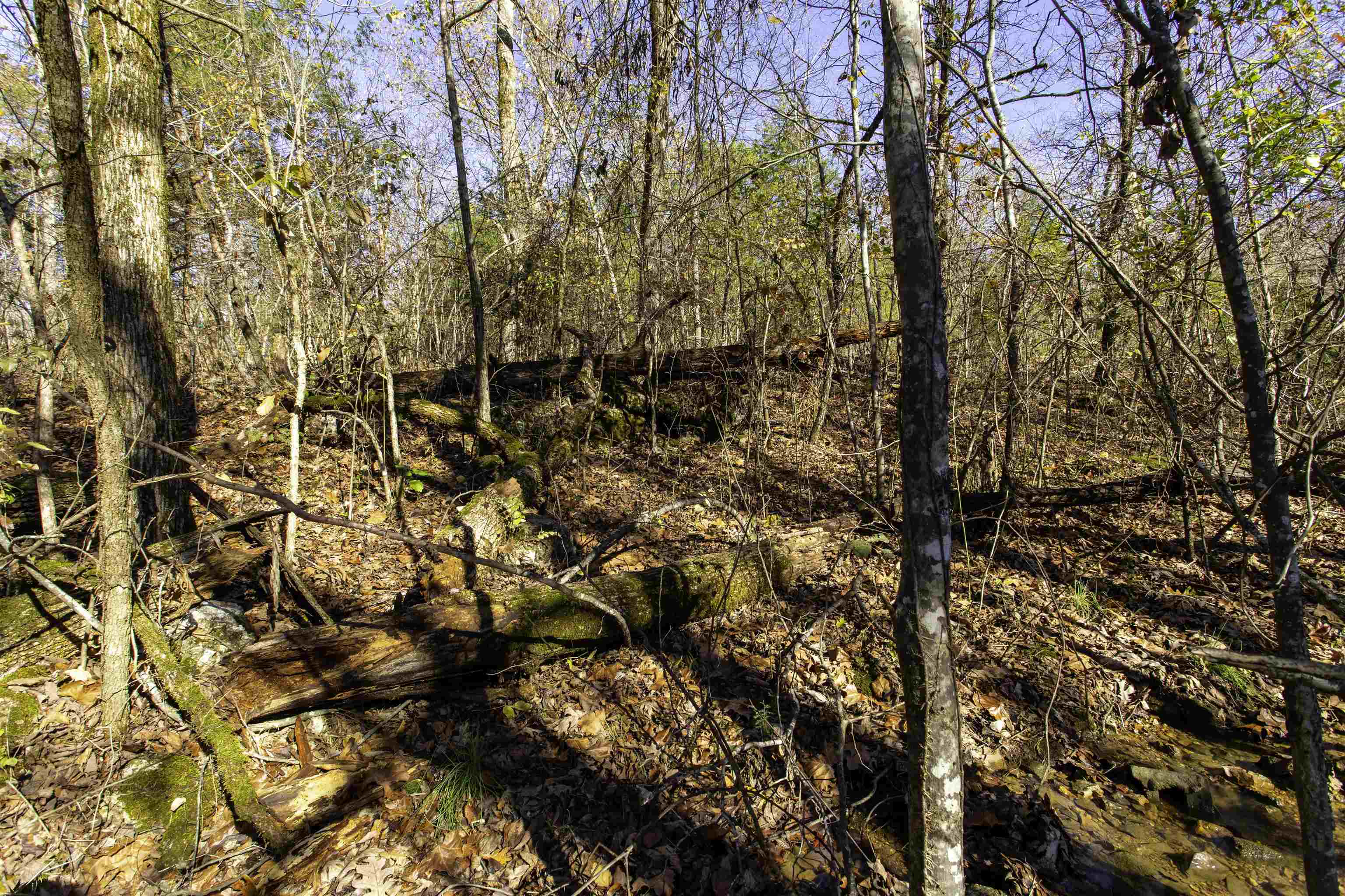 TBD  River  Williford, AR