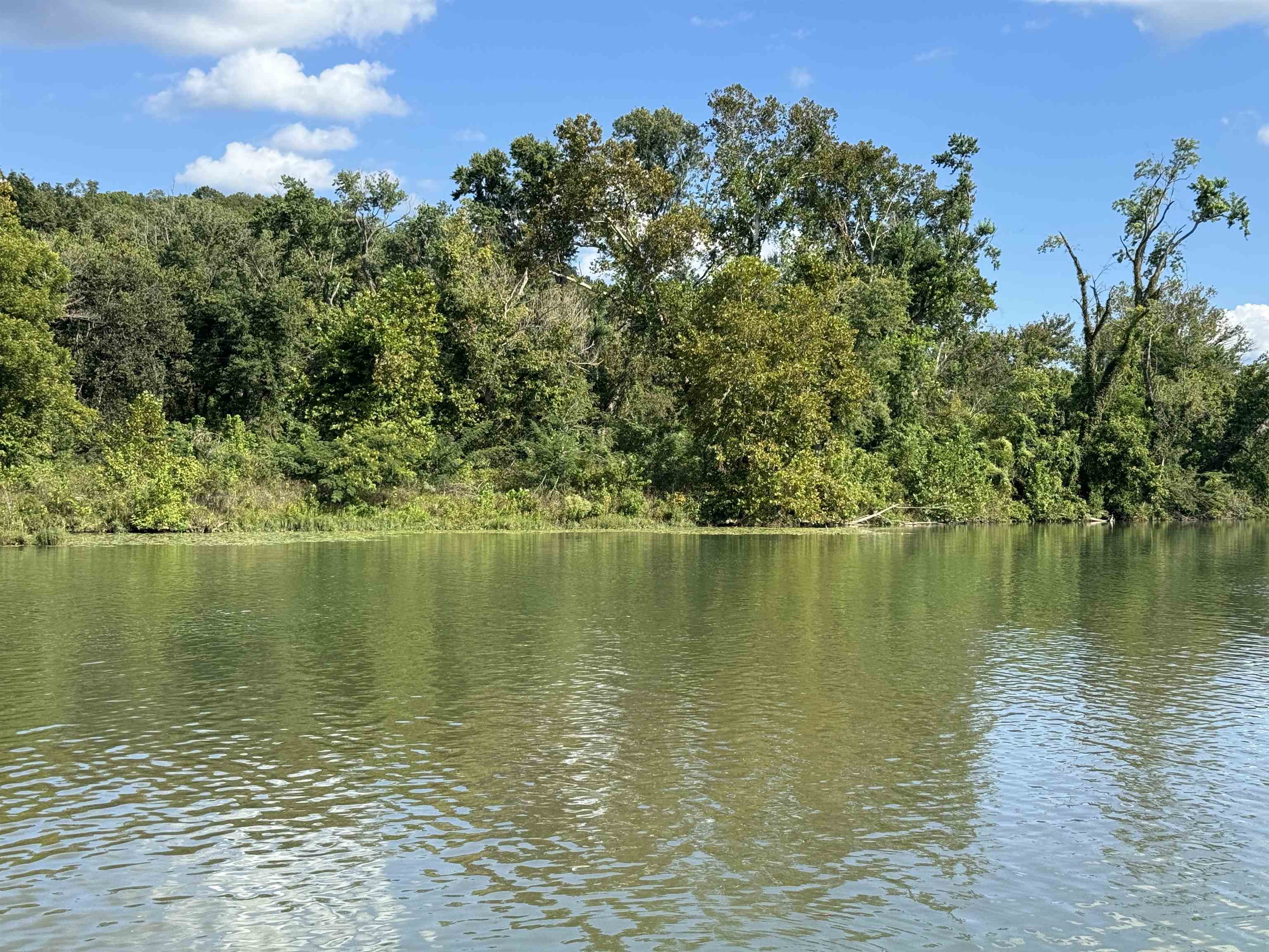 TBD  River  Williford, AR