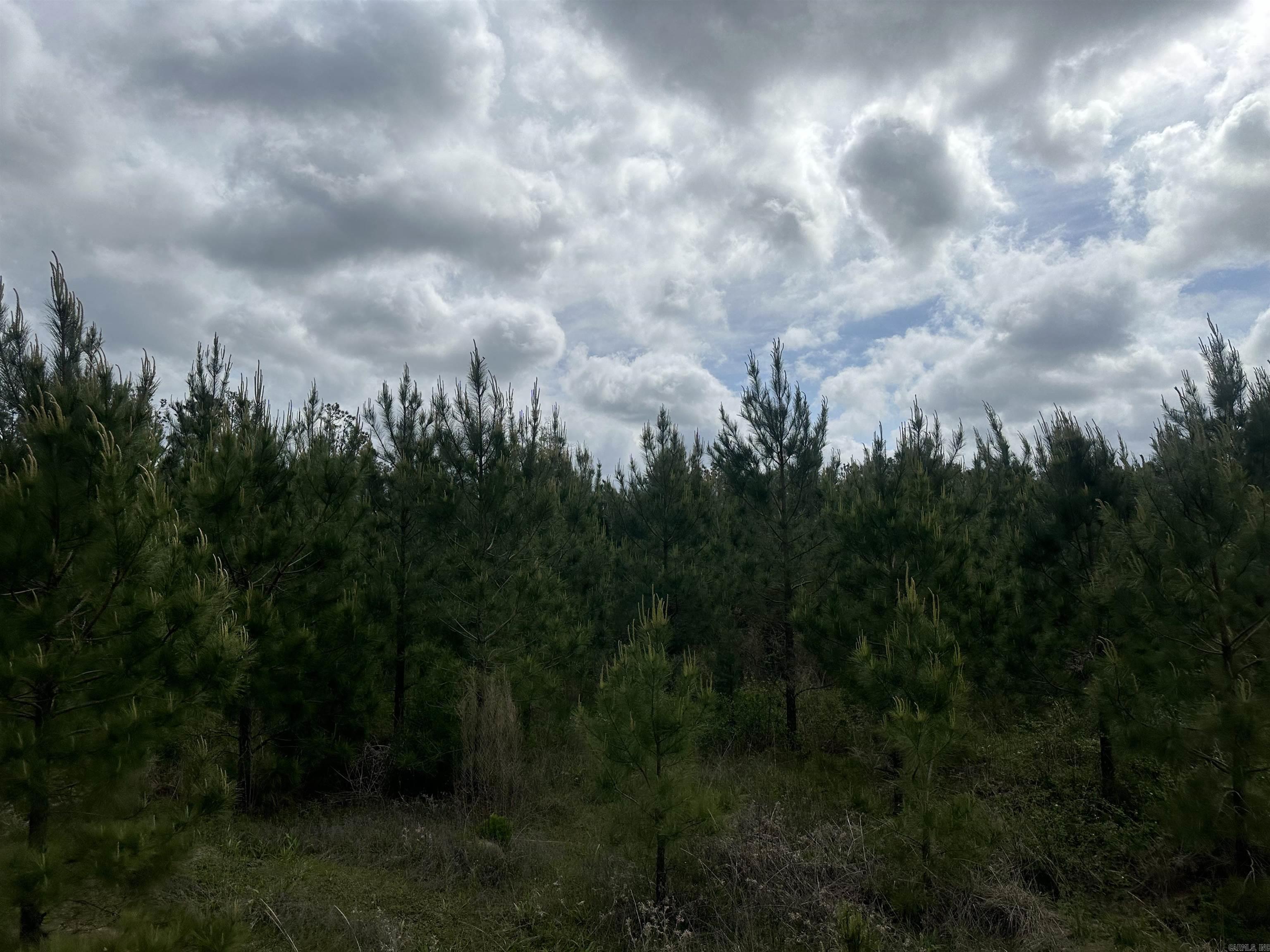 Lot 1  AR Hwy 7  Camden, AR