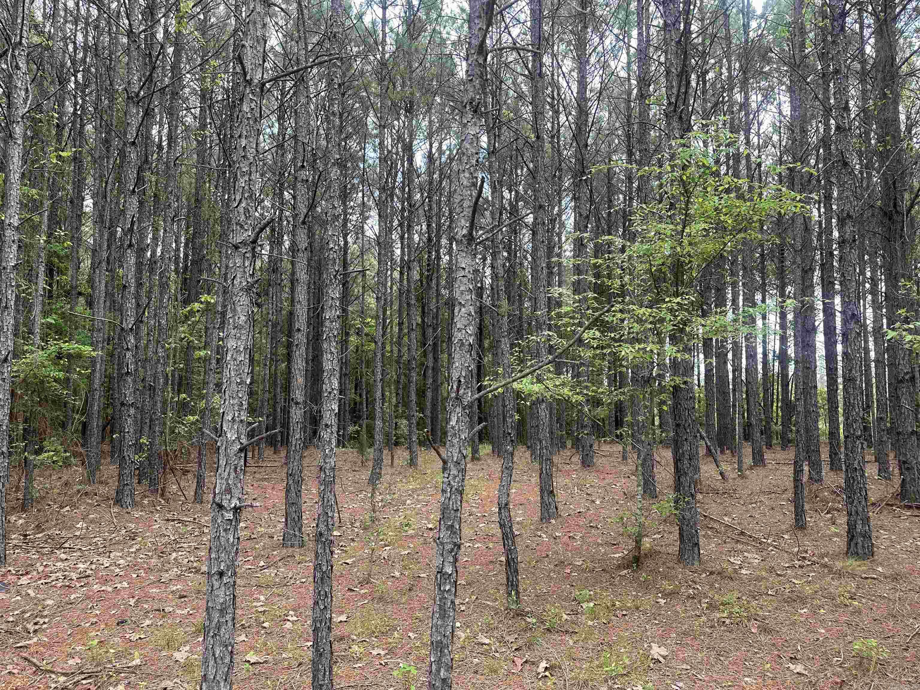Lot 2  AR Hwy 7  Camden, AR