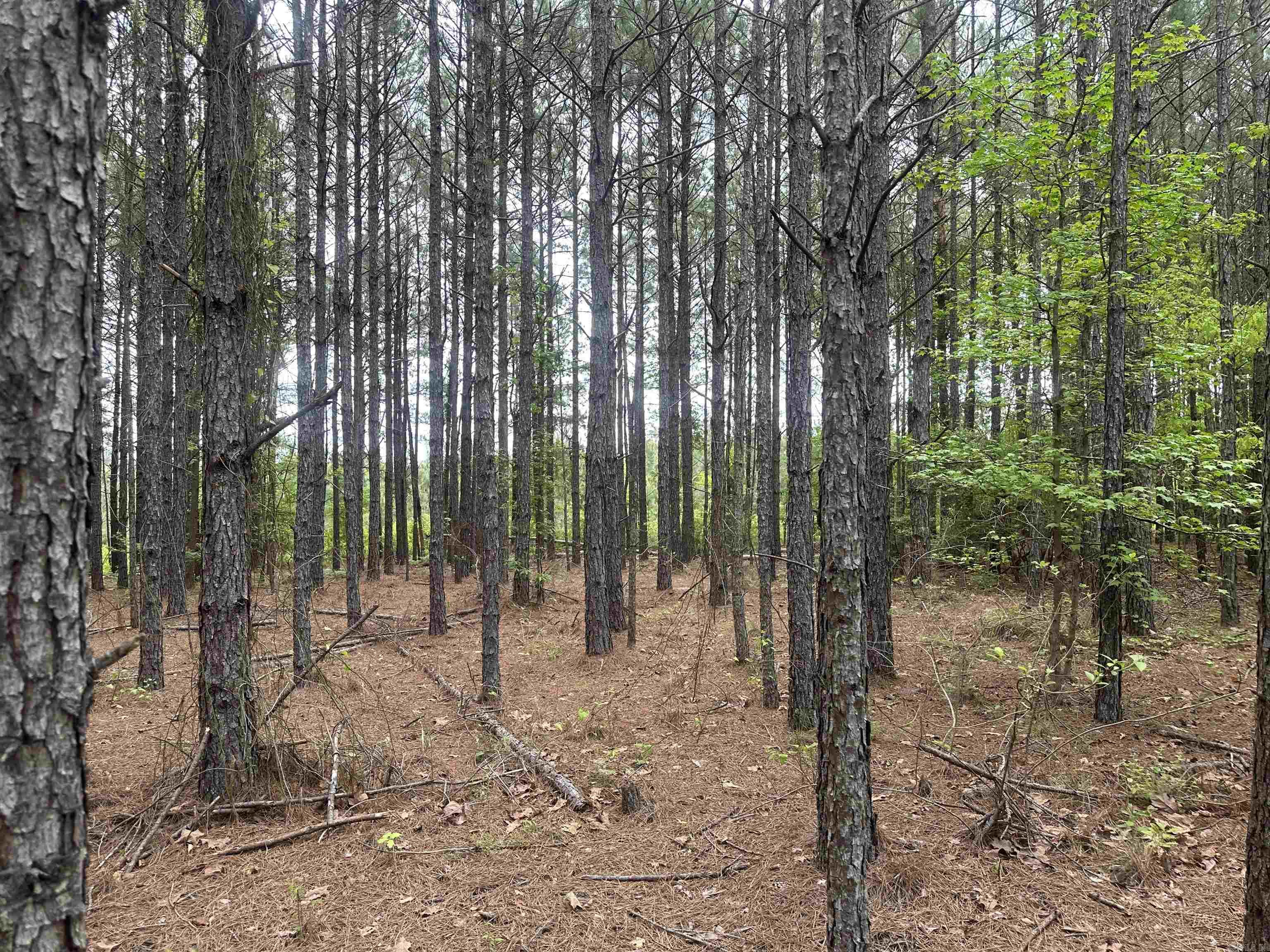Lot 2  AR Hwy 7  Camden, AR