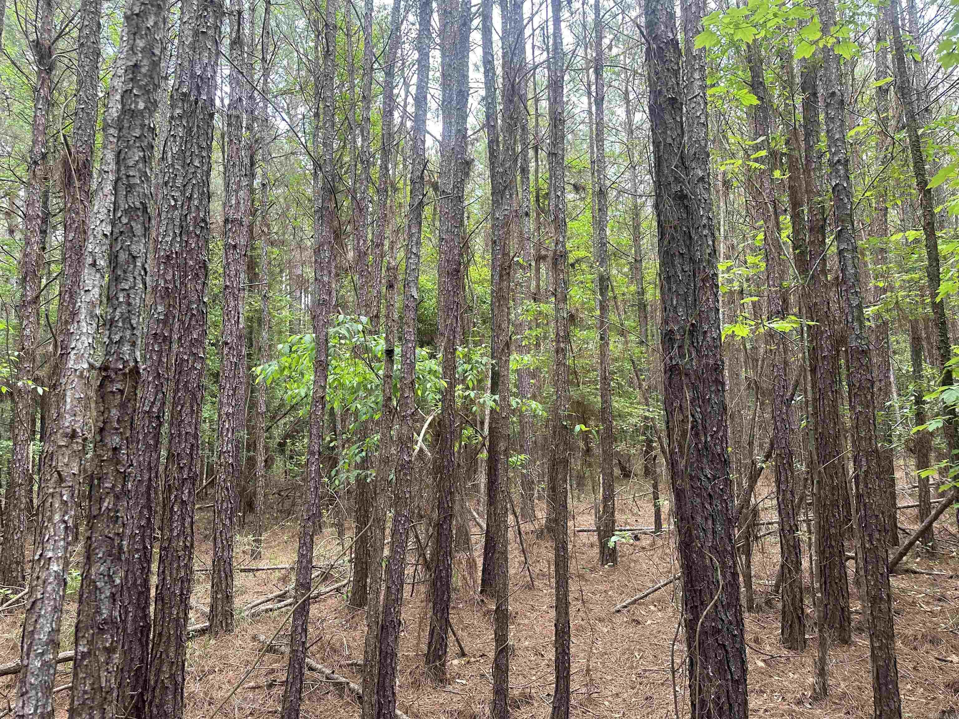 Lot 2  AR Hwy 7  Camden, AR