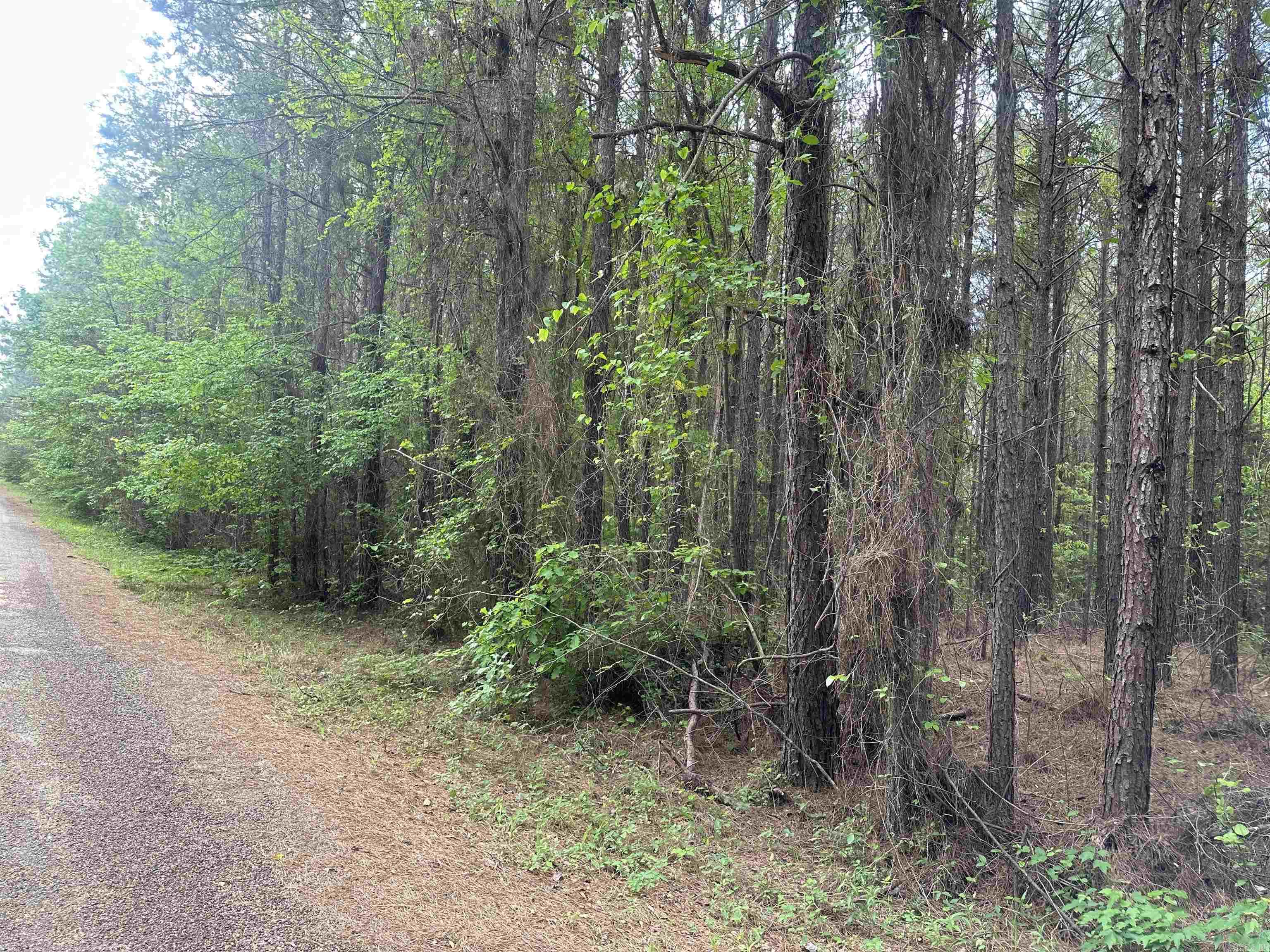 Lot 3  AR Hwy 7  Camden, AR