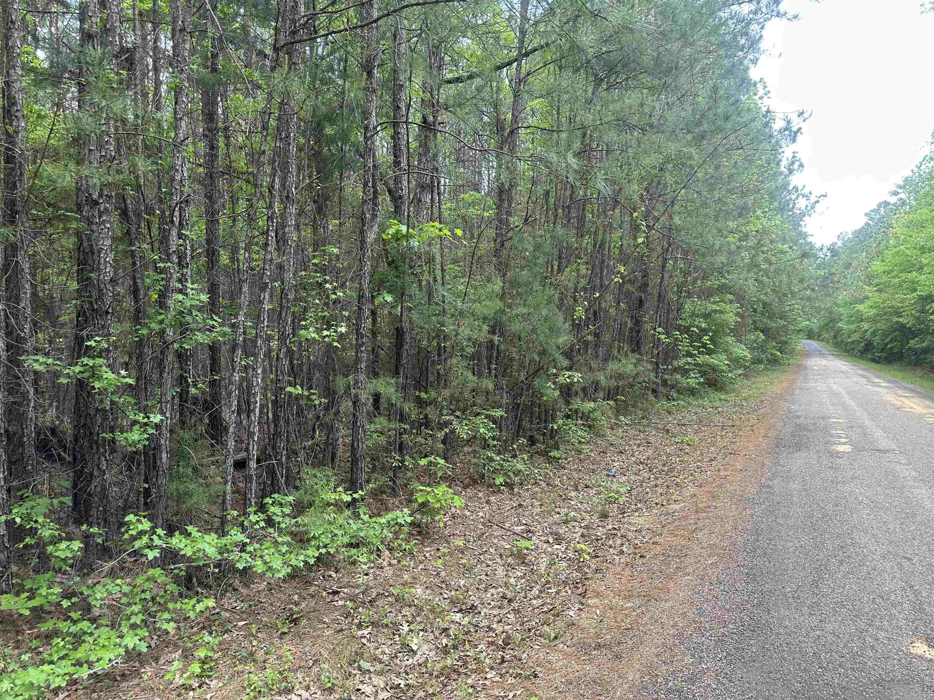 Lot 4  AR Hwy 7  Camden, AR