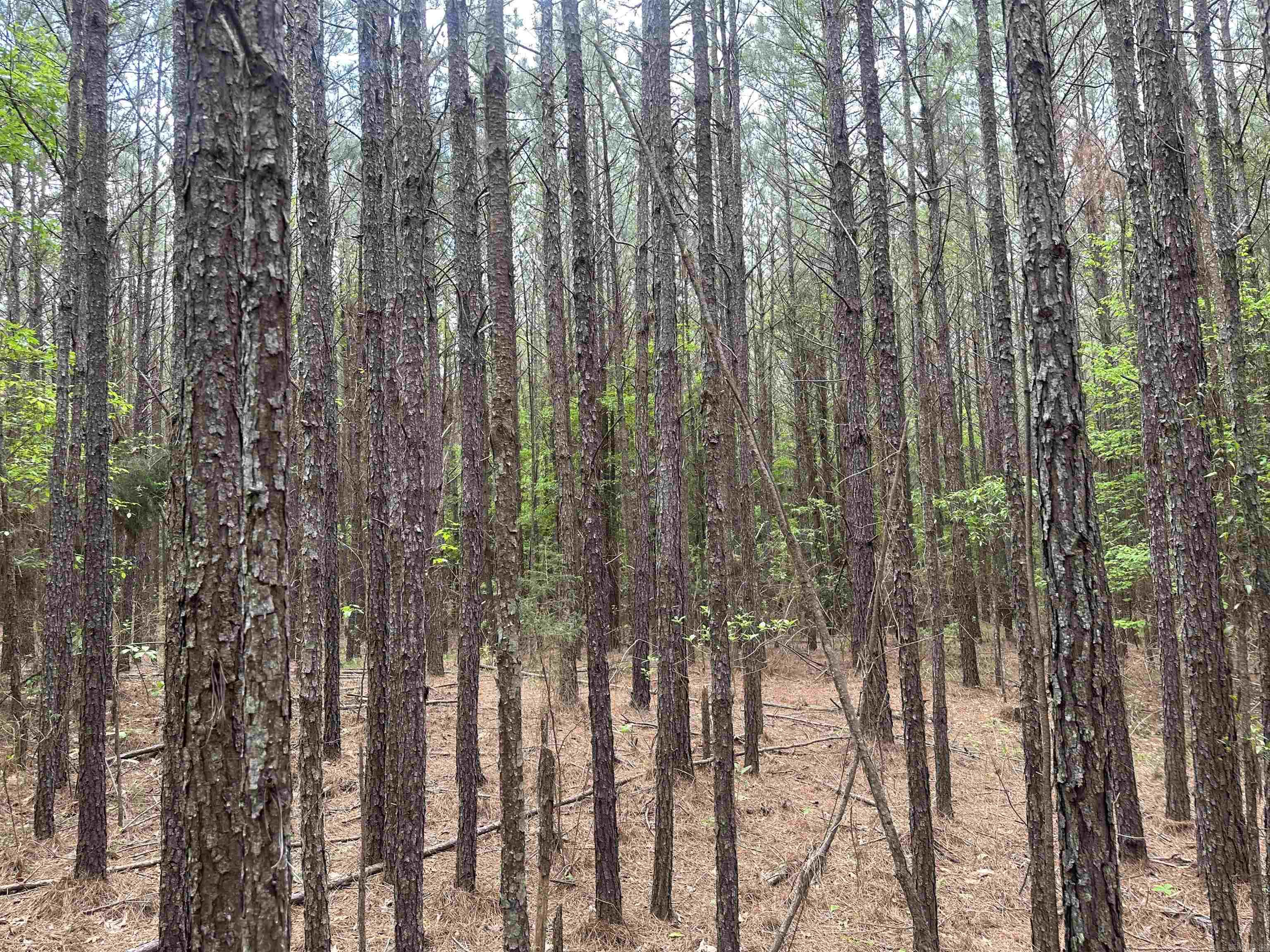 Lot 4  AR Hwy 7  Camden, AR