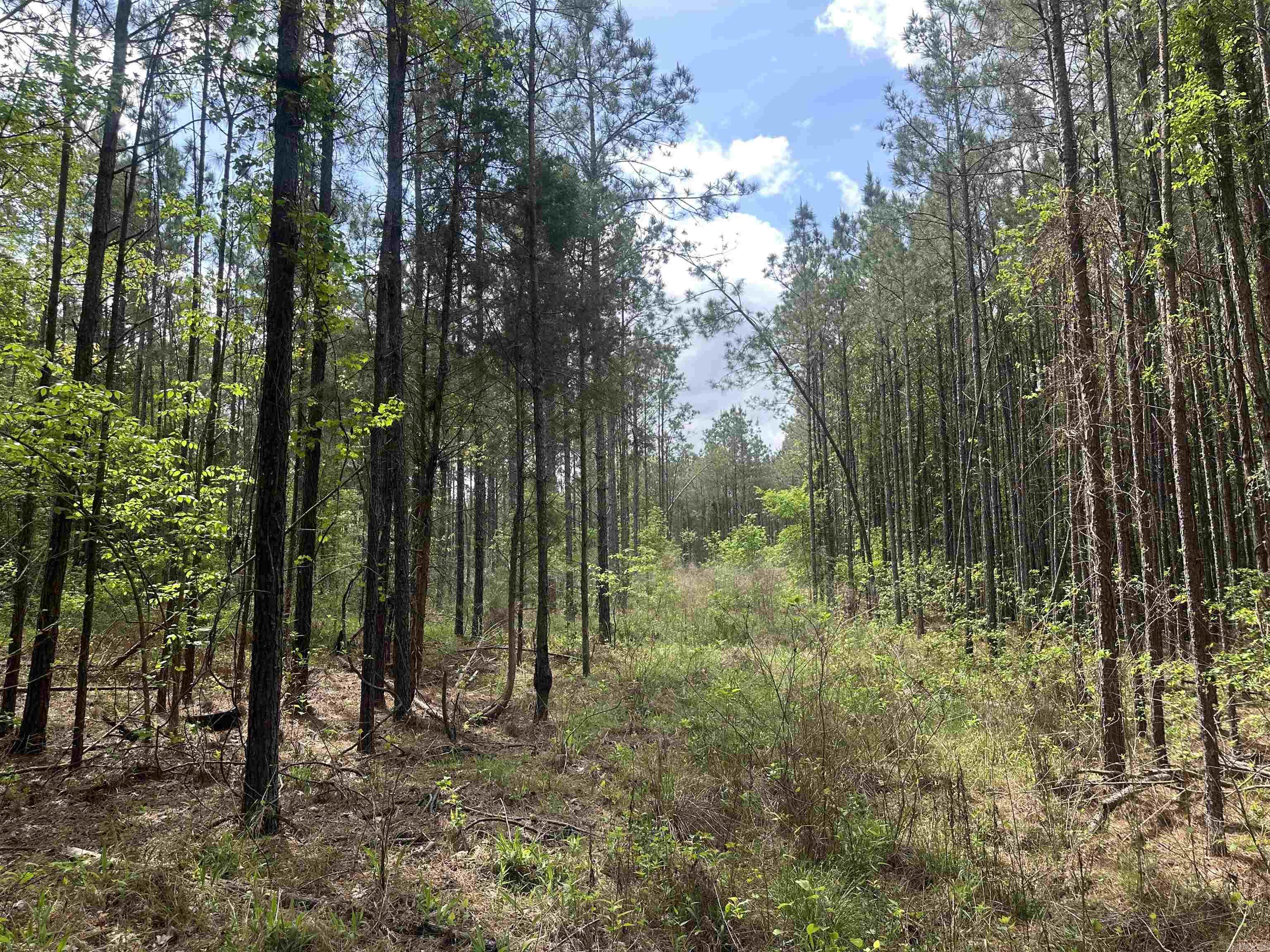 Lot 4  AR Hwy 7  Camden, AR