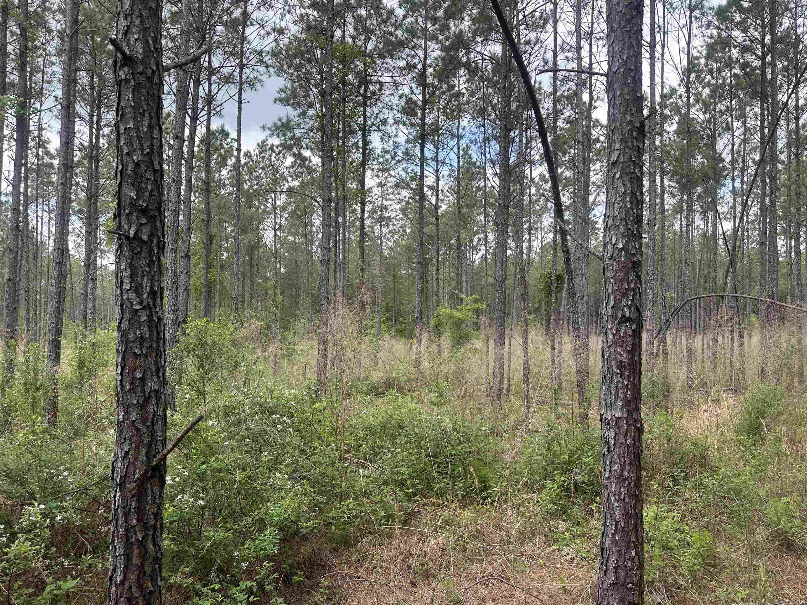 Lot 5  AR Hwy 7  Camden, AR