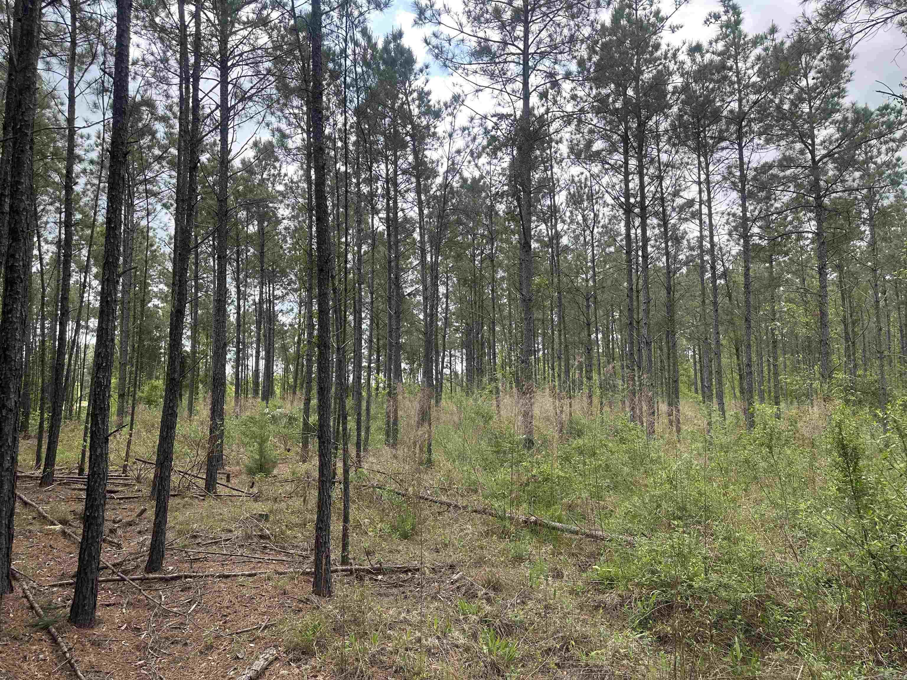 Lot 5  AR Hwy 7  Camden, AR