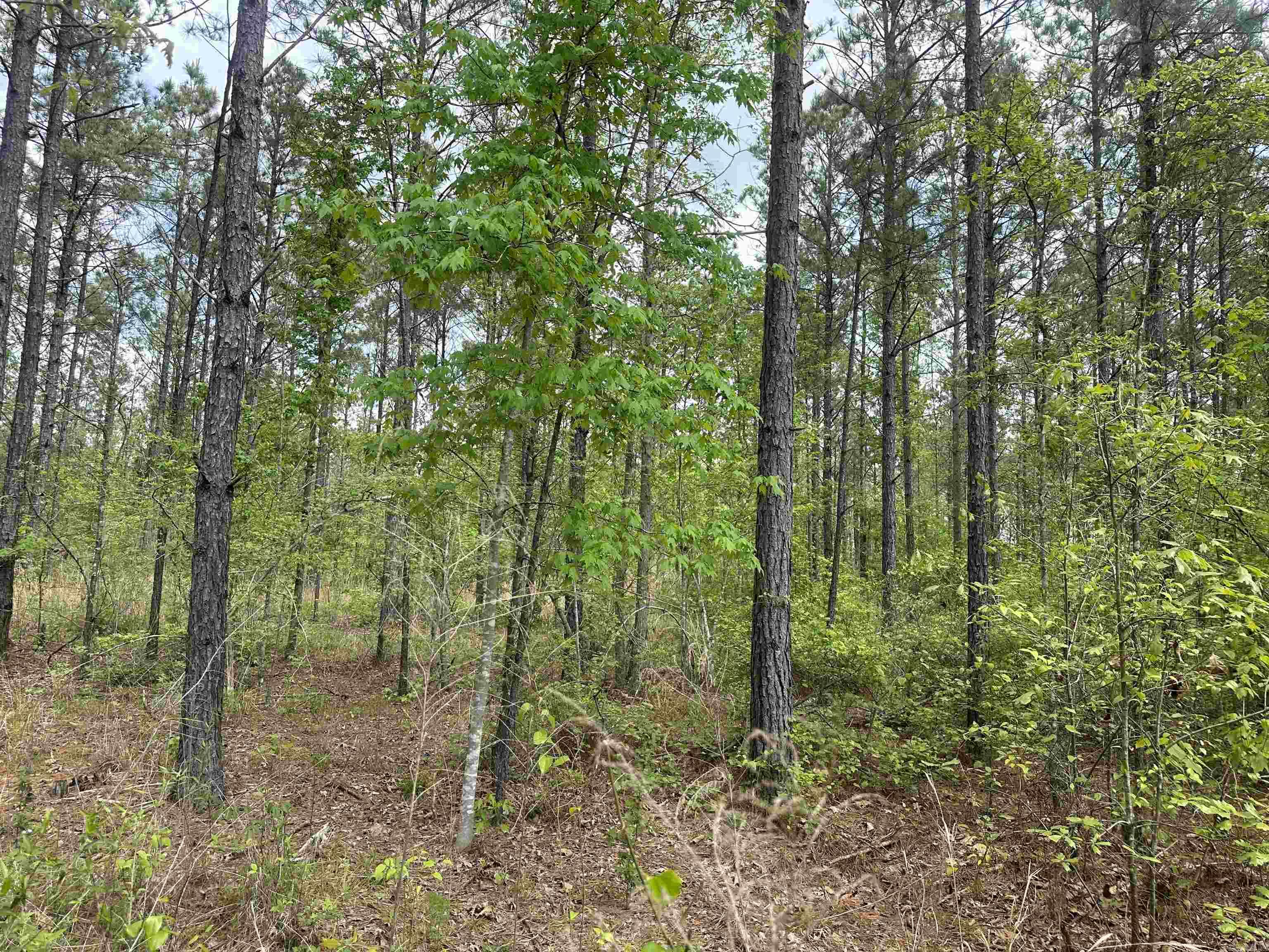 Lot 5  AR Hwy 7  Camden, AR