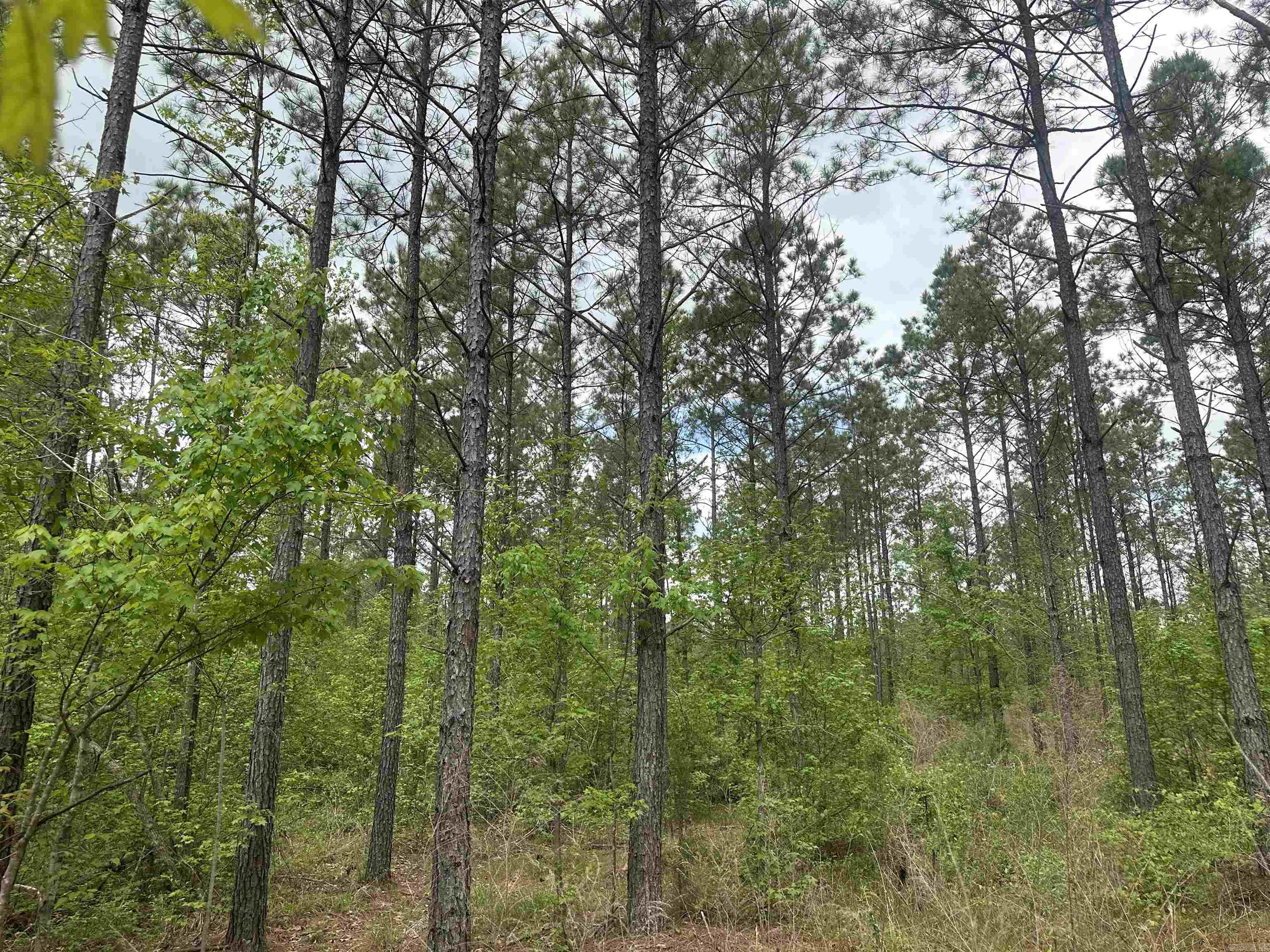 Lot 5  AR Hwy 7  Camden, AR