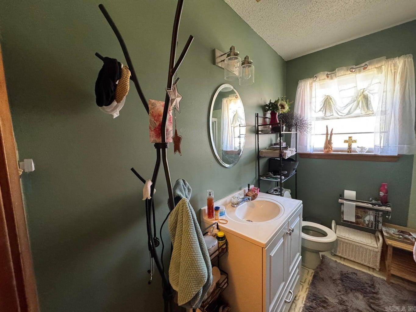 16  Diane  Ash Flat, AR