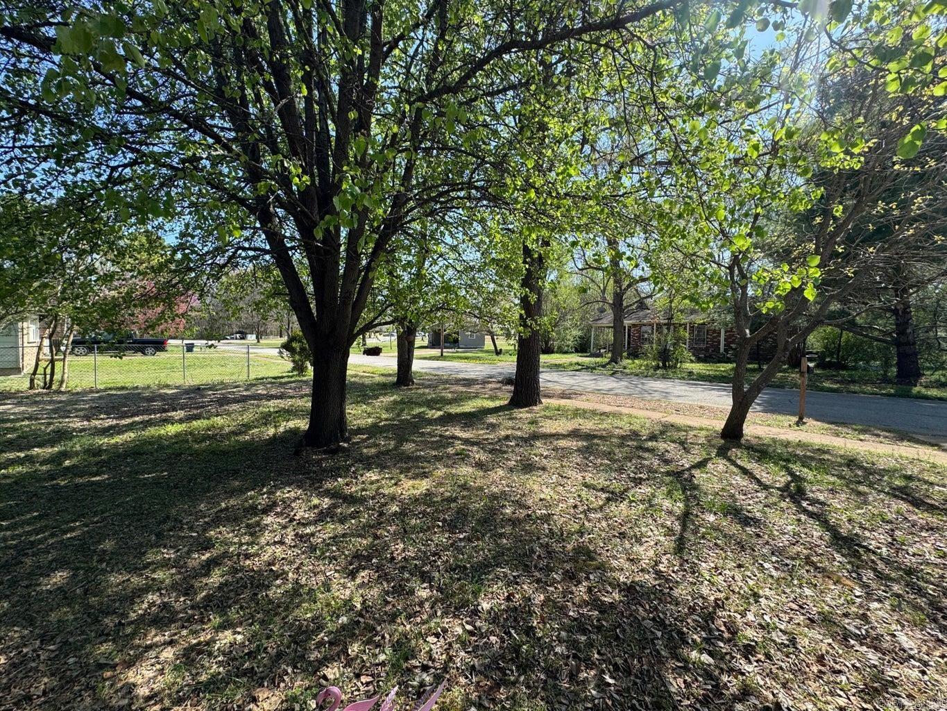16  Diane  Ash Flat, AR