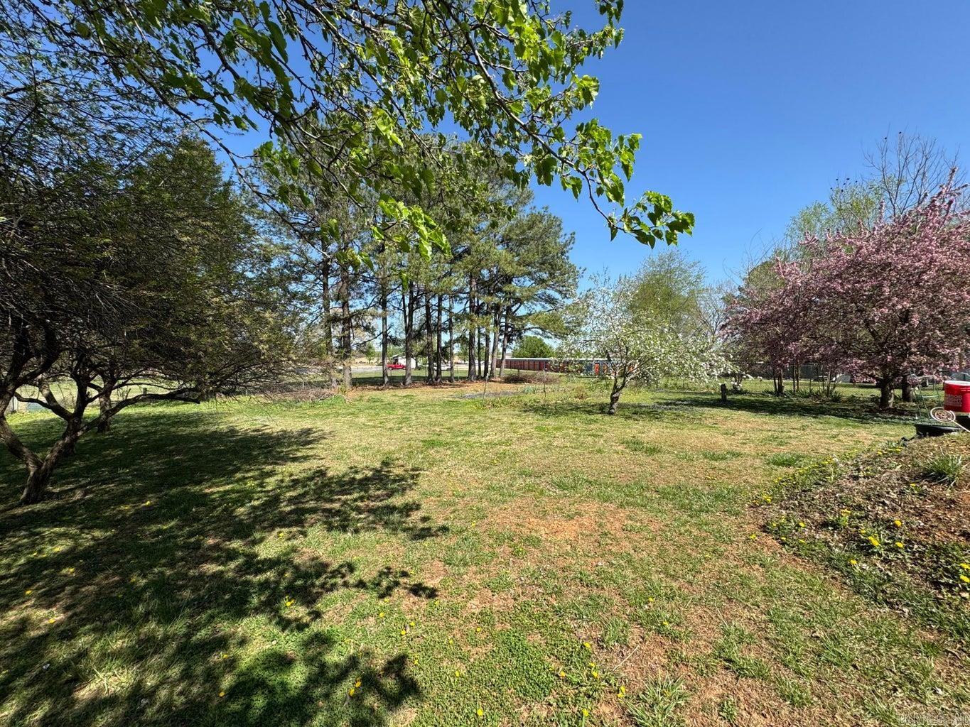 16  Diane  Ash Flat, AR