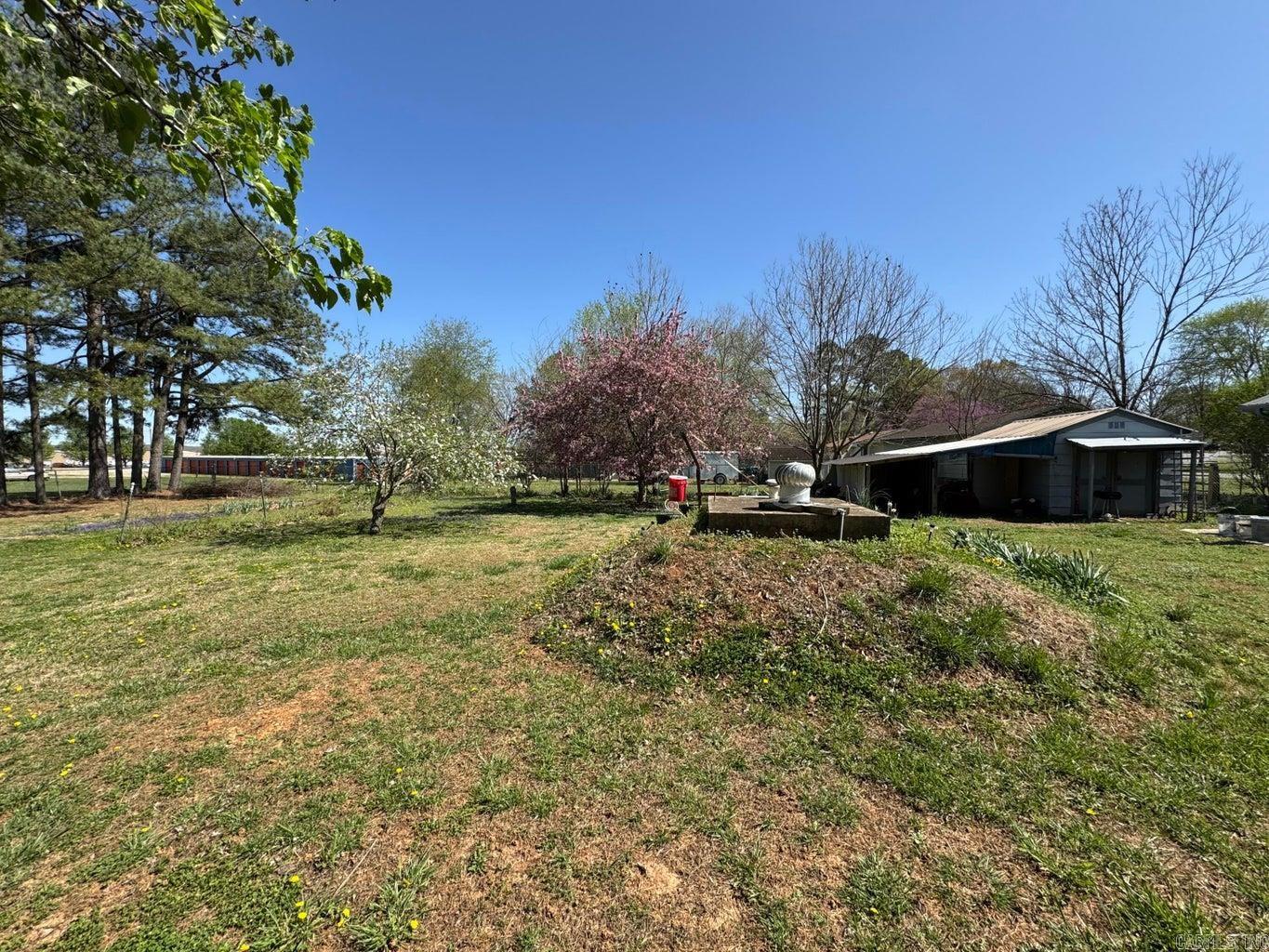 16  Diane  Ash Flat, AR