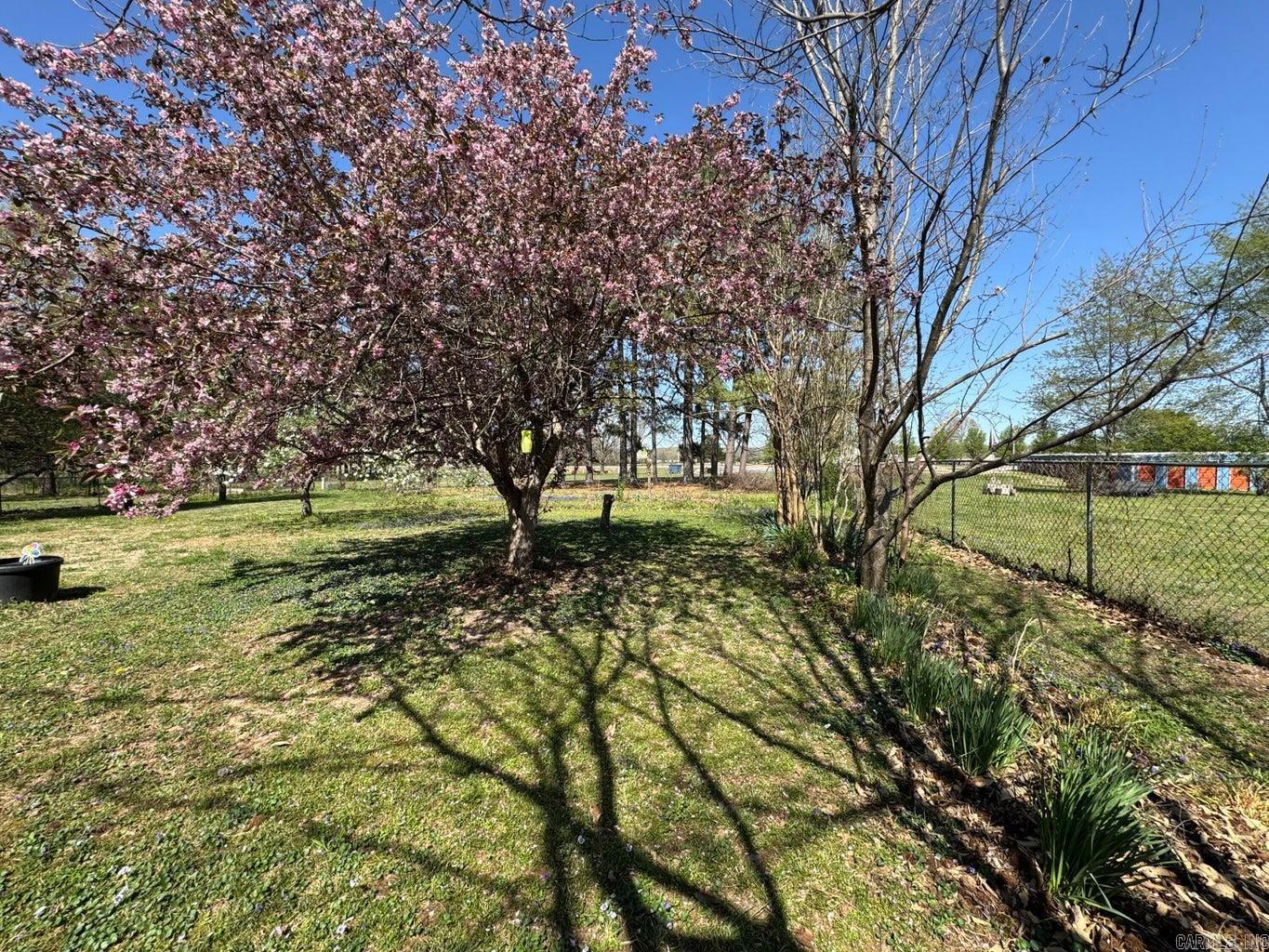 16  Diane  Ash Flat, AR