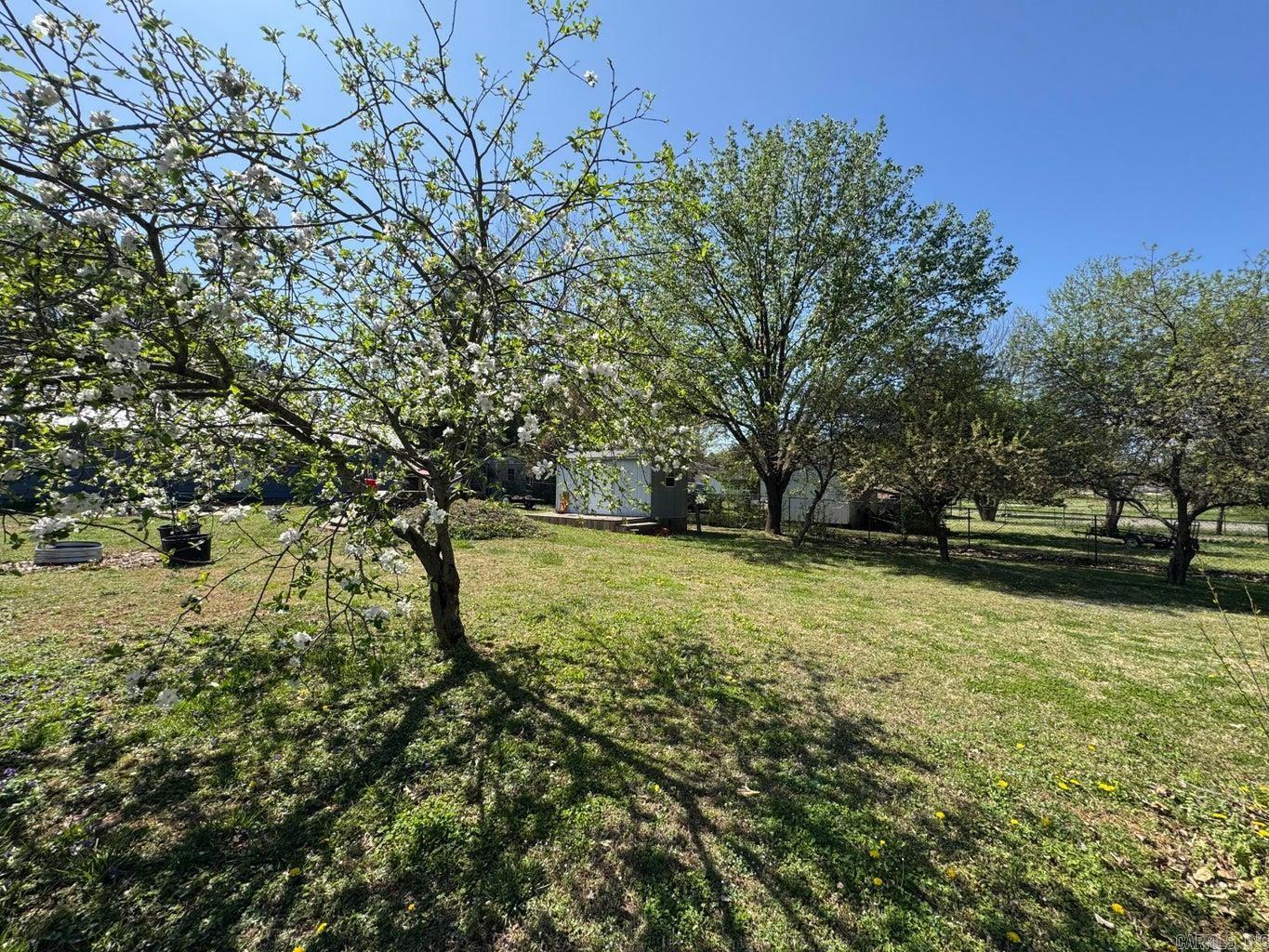 16  Diane  Ash Flat, AR