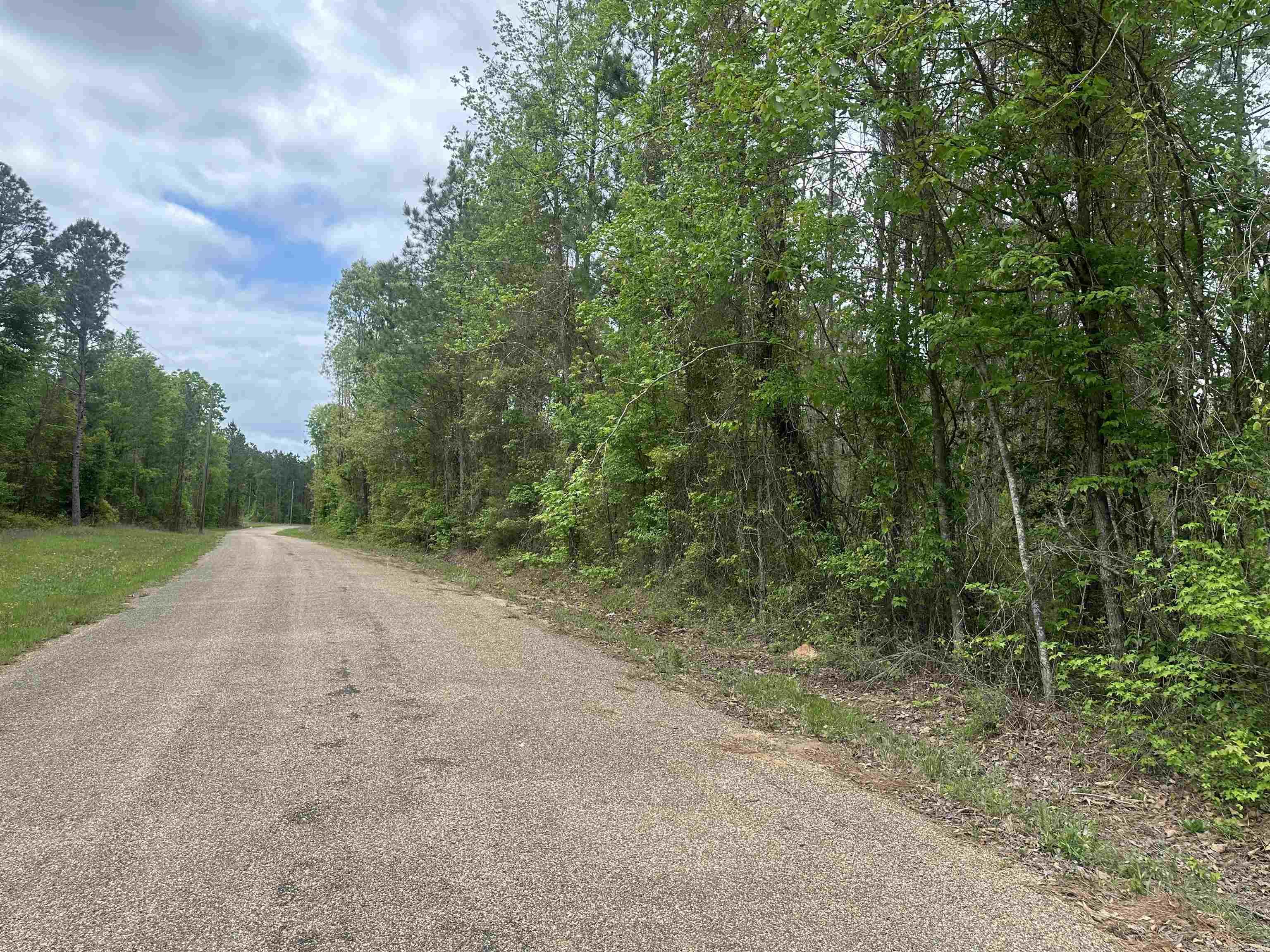 Lot 6  AR Hwy 7  Camden, AR