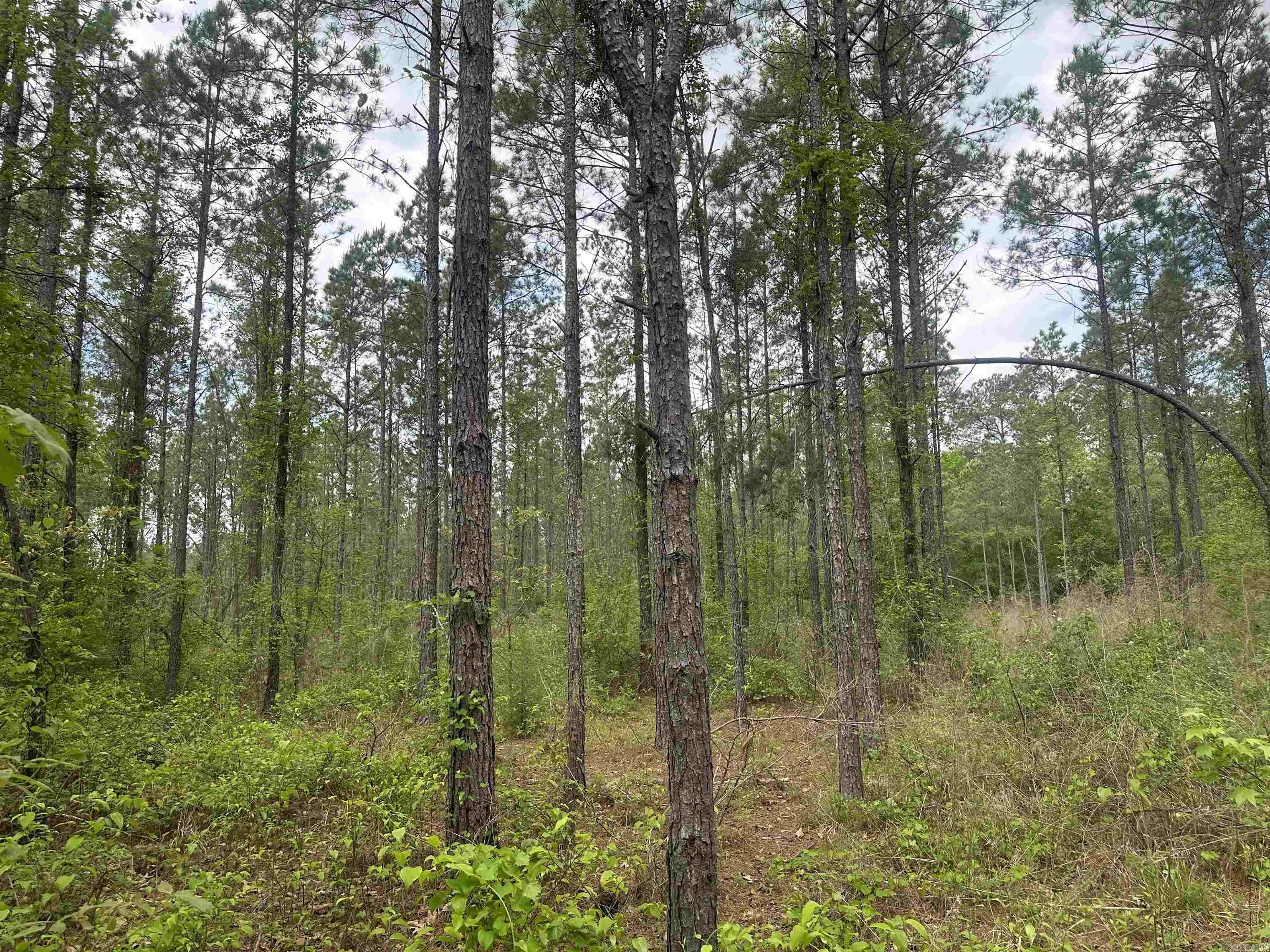 Lot 6  AR Hwy 7  Camden, AR