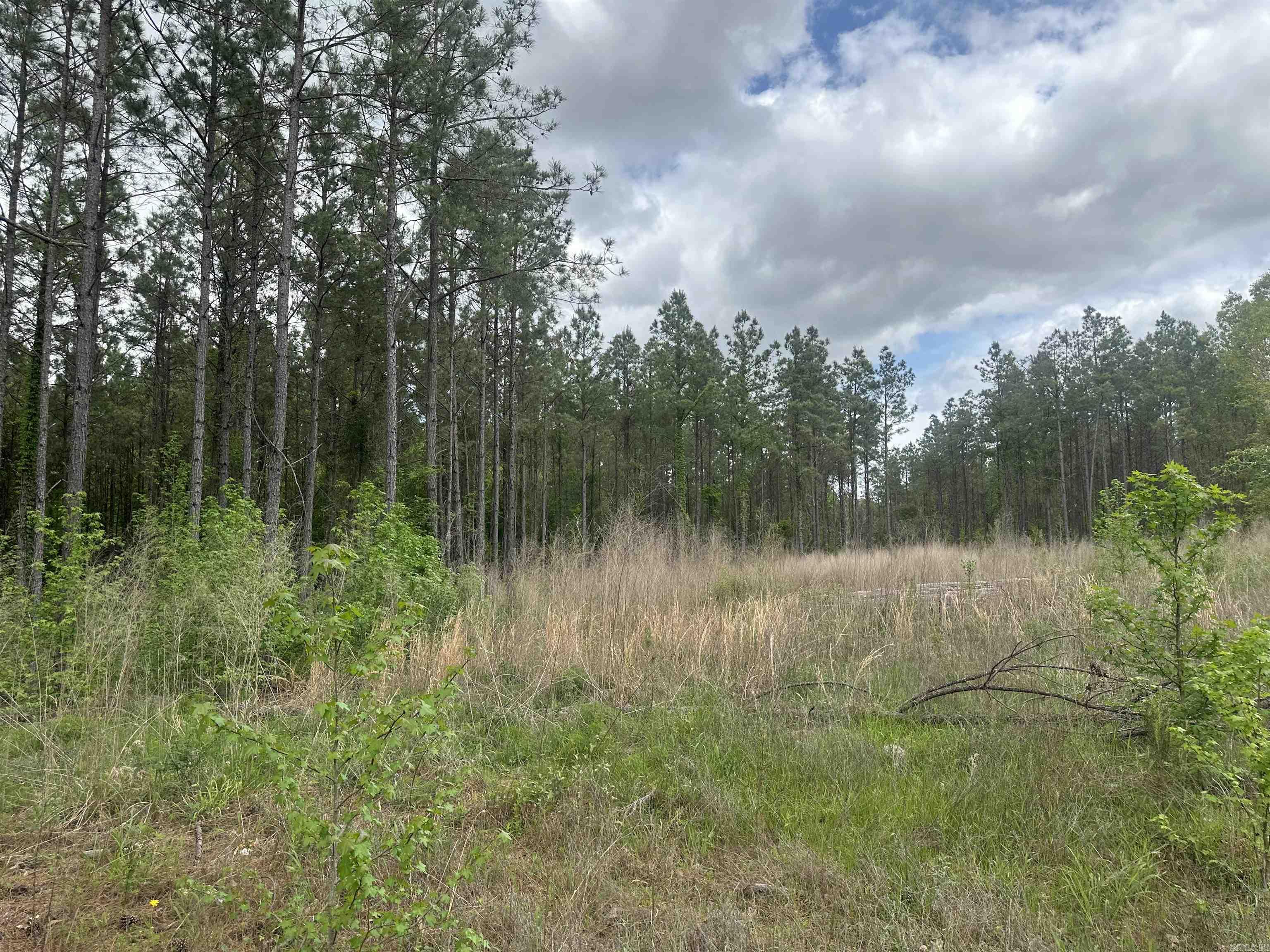 Lot 6  AR Hwy 7  Camden, AR