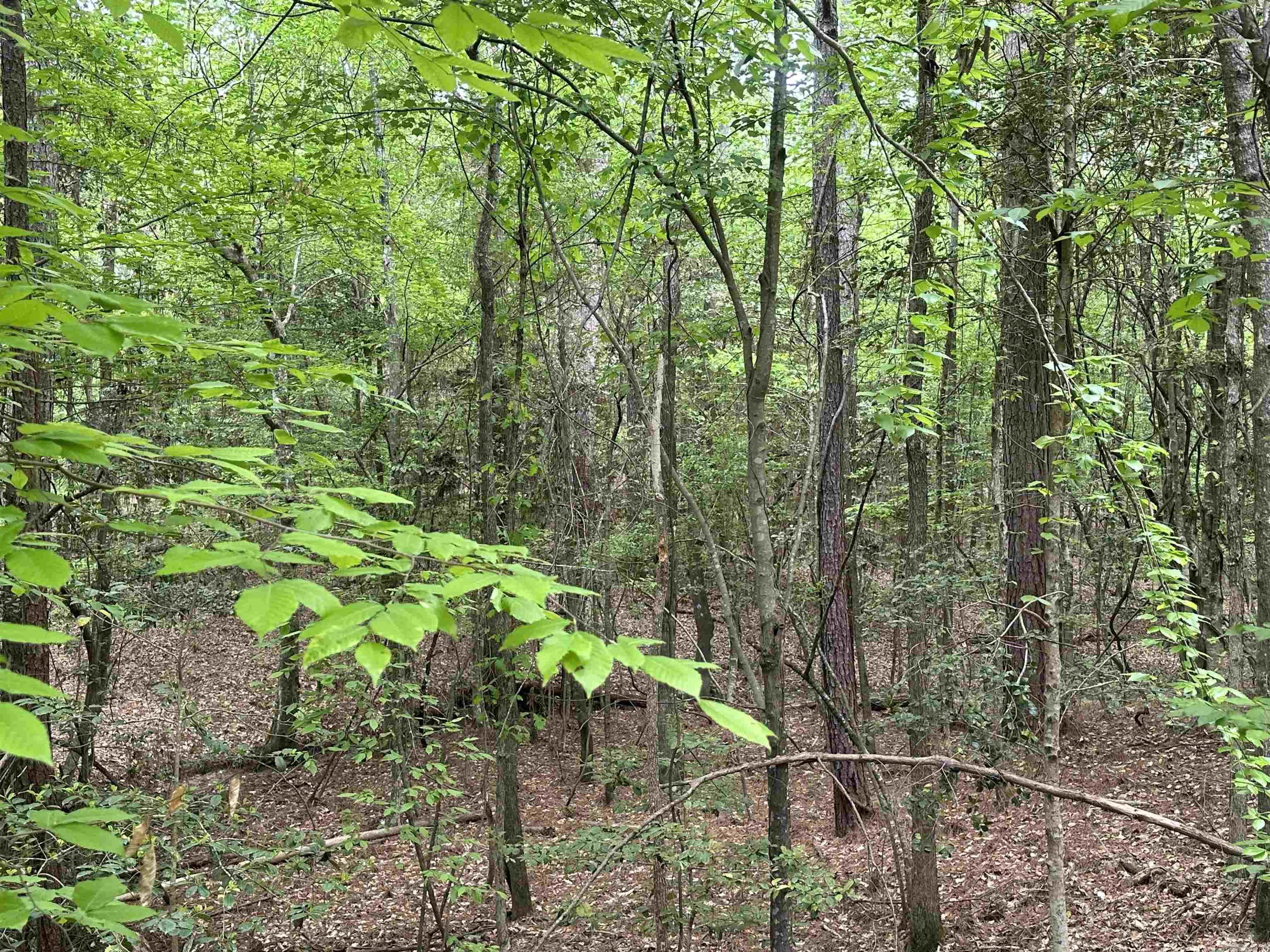 Lot 6  AR Hwy 7  Camden, AR